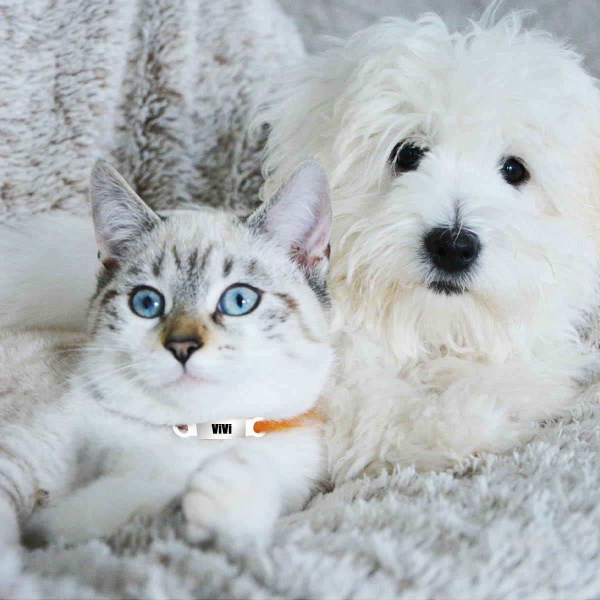 Pet ID Tags, 4 PCS Slide-On Pet Tags for Dogs, Cats (1.5 X 6.5Cm/0.59 X 2.55In) image number 2