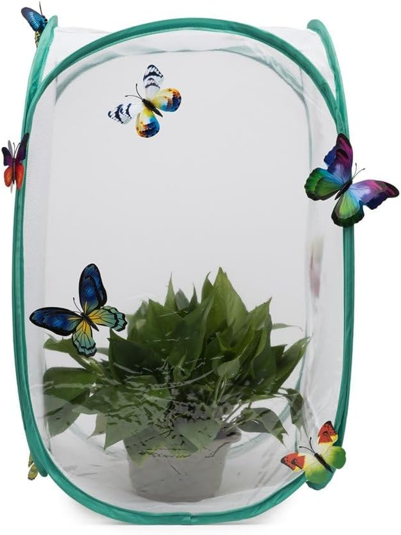 Insect and Butterfly Habitat Cage Terrarium - Pop-Up 60Cm Tall (White) image number 4
