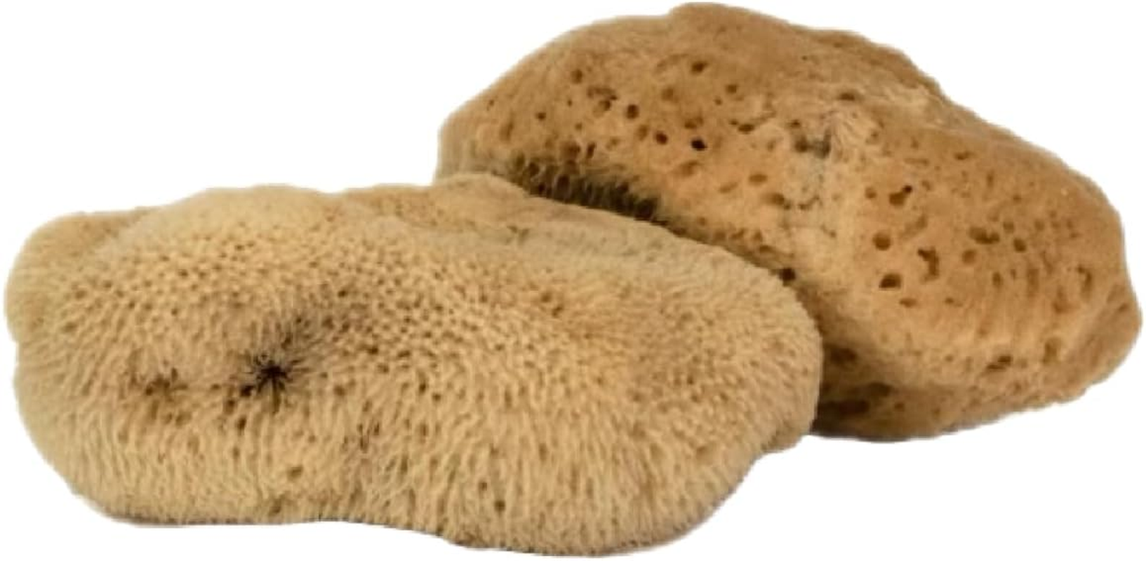 Intimatecare Sea Sponges. Mediterranean Sea Sponges in Plastic Free Packaging. Absolute Quality (Natural Brown, 3X 5.5-6.5Cm / 2-2.5In")