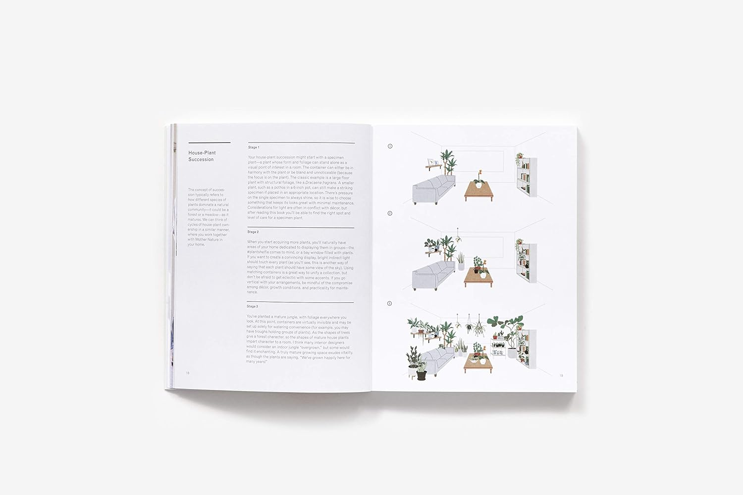 The New Plant Parent: Develop Your Green Thumb and Care for Your House Plant Family image number 1