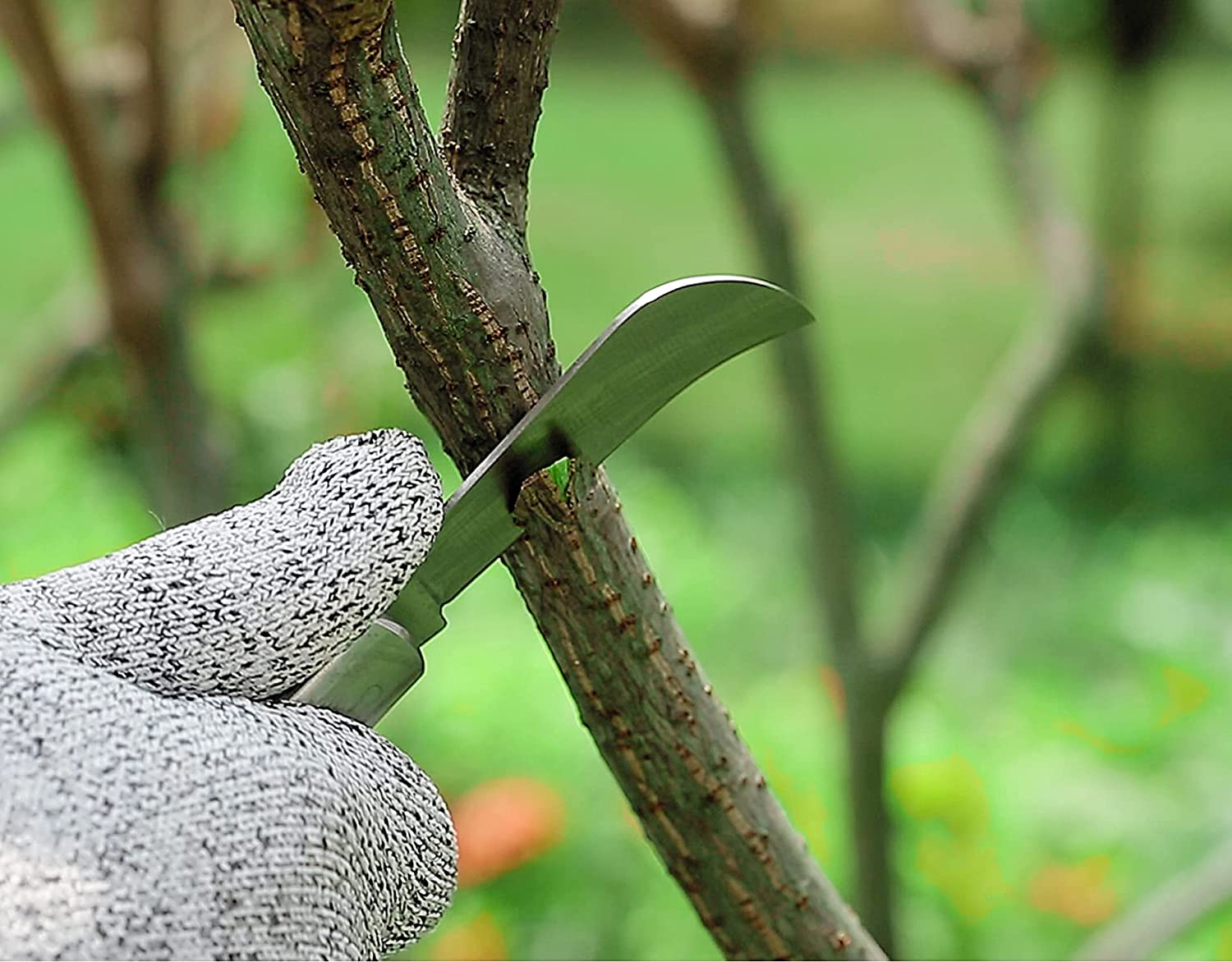 Grafting Knife with 2 Blades & 2 Tapes - Stainless Steel Gardening Tool for Plant Grafting, Pruning, Fruit Picking - Portable Rosewood Handle, Bark Lifter (Foldable) image number 5