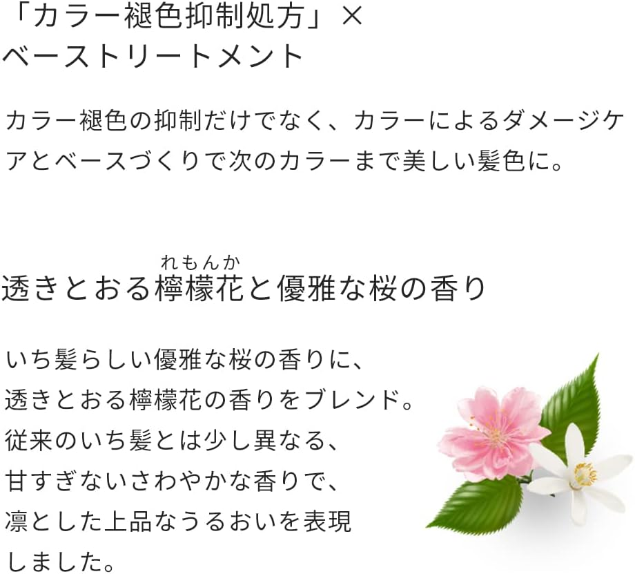 ICHIKAMI Color Care Base Treatment in Conditioner Pump, 16.9 Oz (480 G), Hair Care, Damage Care, Fade Resistant, Men'S, Women'S