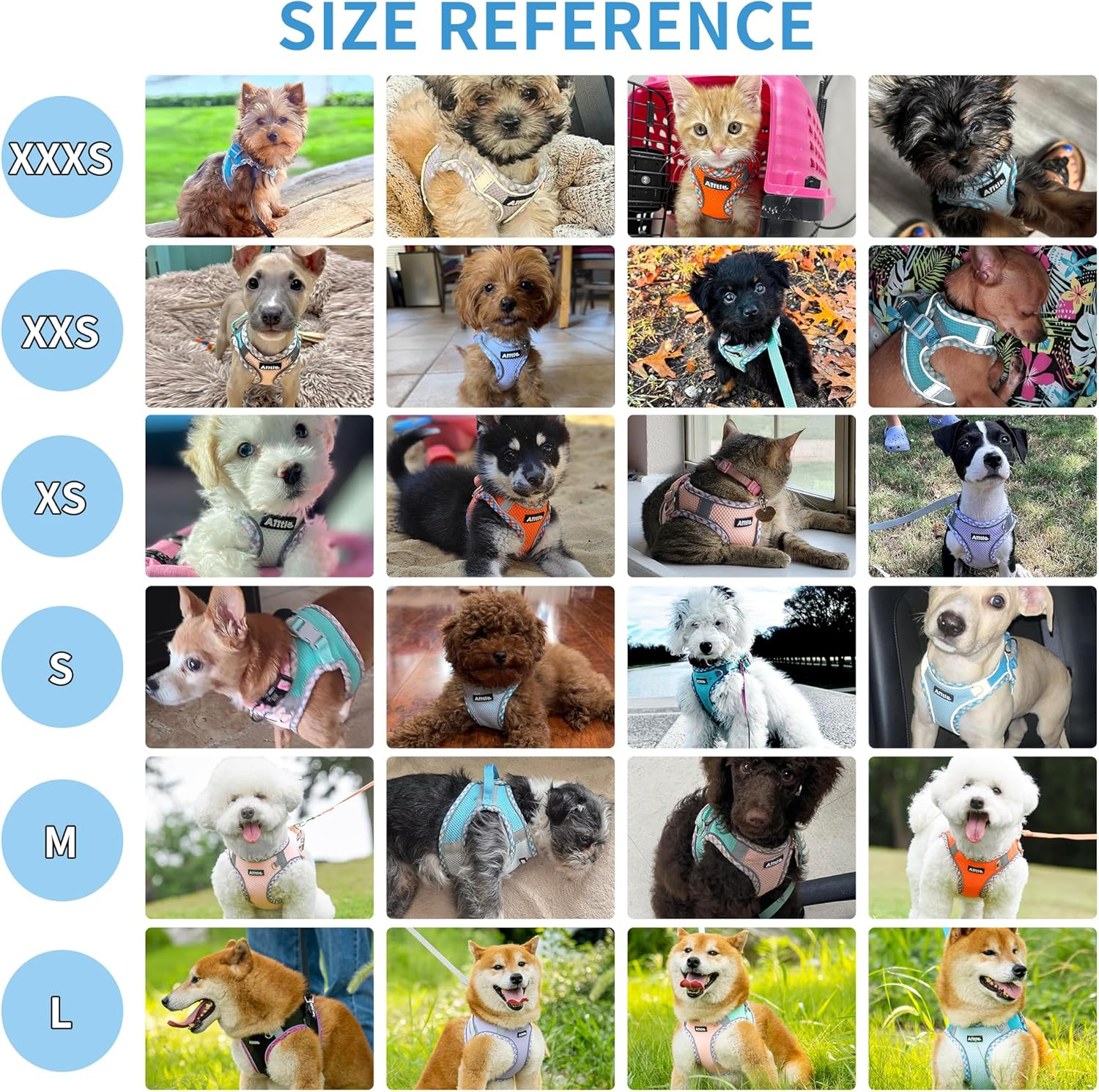 AIITLE Tiny Dog Harness - Lightweight Mesh Step-In Vest for Puppy, Reflective & Escape-Proof Design with High-Stick Magic Tape - Outdoor Use for Chihuahua, Maltese, Shih Tzu(Turquoise-Pink, XXXS) image number 3