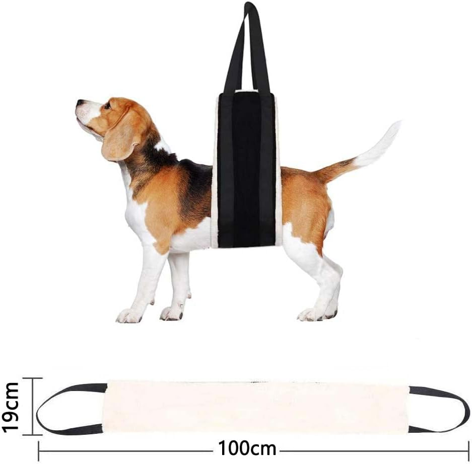 Cozioz Large Dog Rear Leg Sling for 14-54 Kg Dogs &ndash; Support Harness for Elderly and Mobility-Impaired Dogs, Ideal for Arthritis and ACL Rehabilitation, 19 Cm X 100 Cm