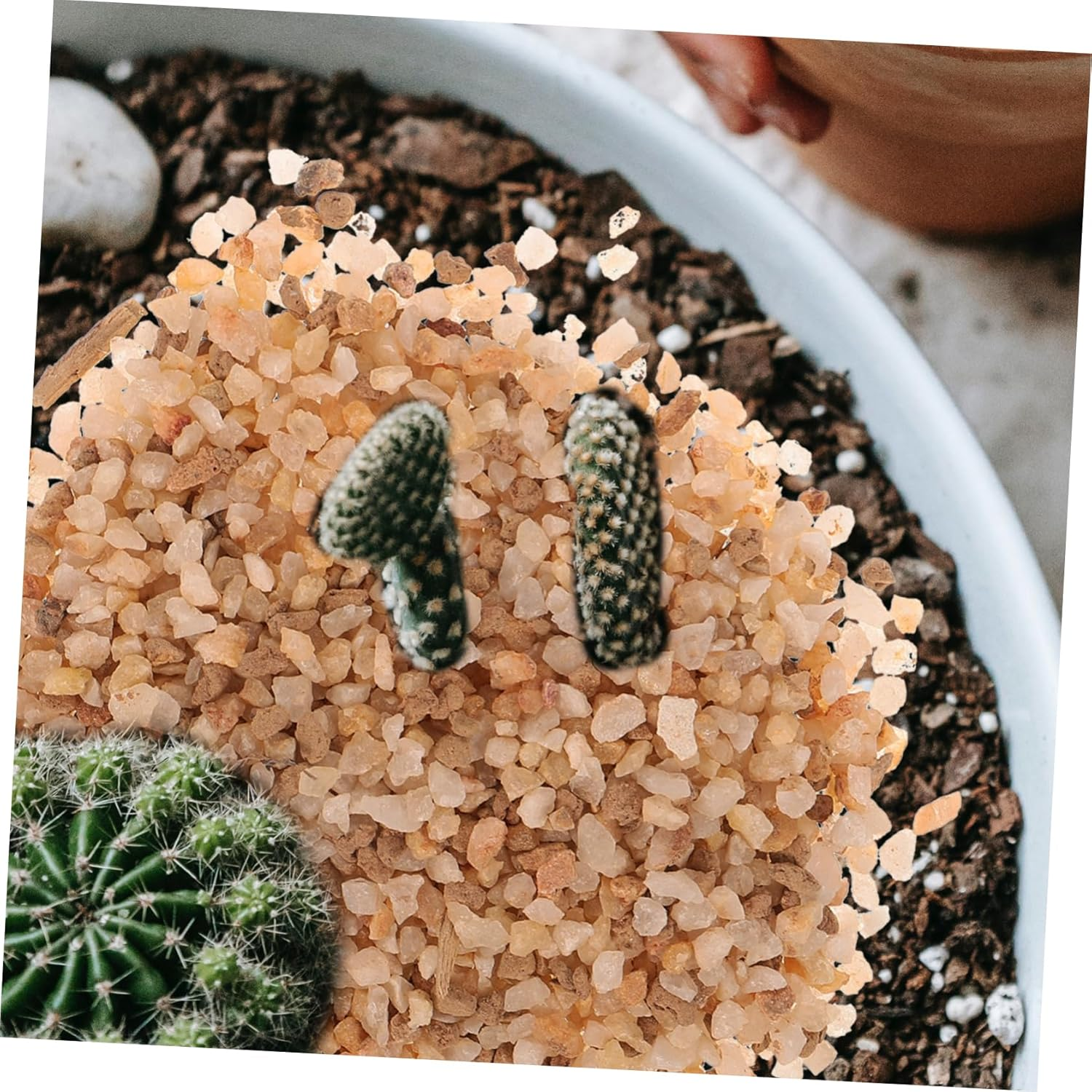 FRCOLOR Pumice Stone for Plants 1 Bag Small Rocks Decorative Gravel for Succulent Rock Mix image number 2