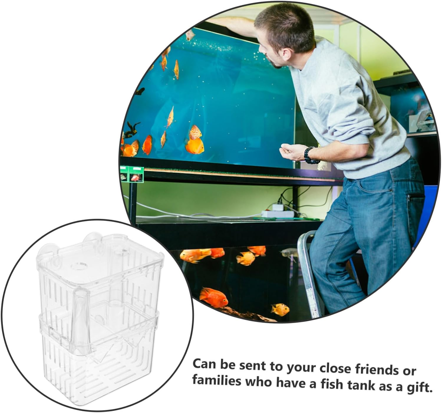 SUPVOX 2Pcs Large Fish Tank Breeding Box Double-Layer Aquarium Isolation Container Hatching Incubator with Suction Cup Suitable for Guppies and Small Fish Aquatic Pets Random Color image number 3