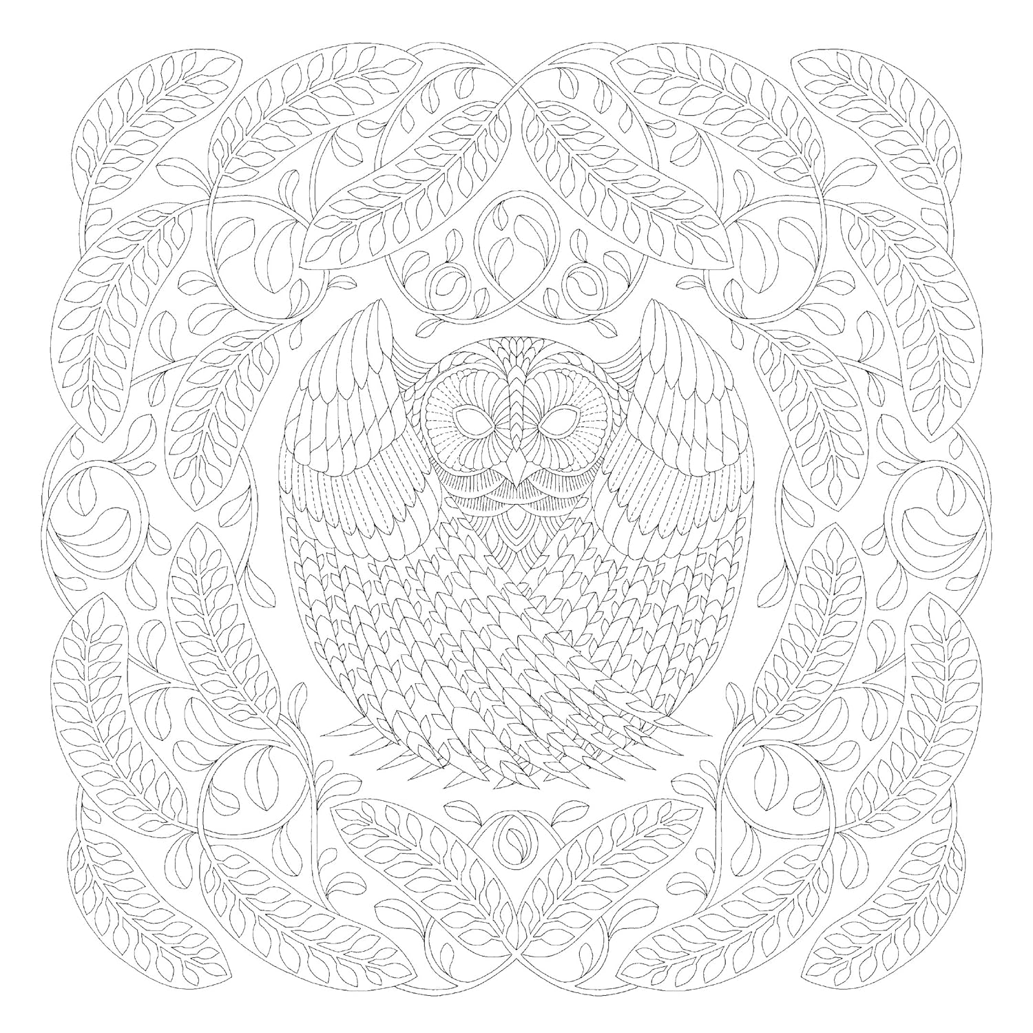 Millie Marotta'S Beautiful Birds and Treetop Treasures: a Colouring Book Adventure: Volume 5 image number 5