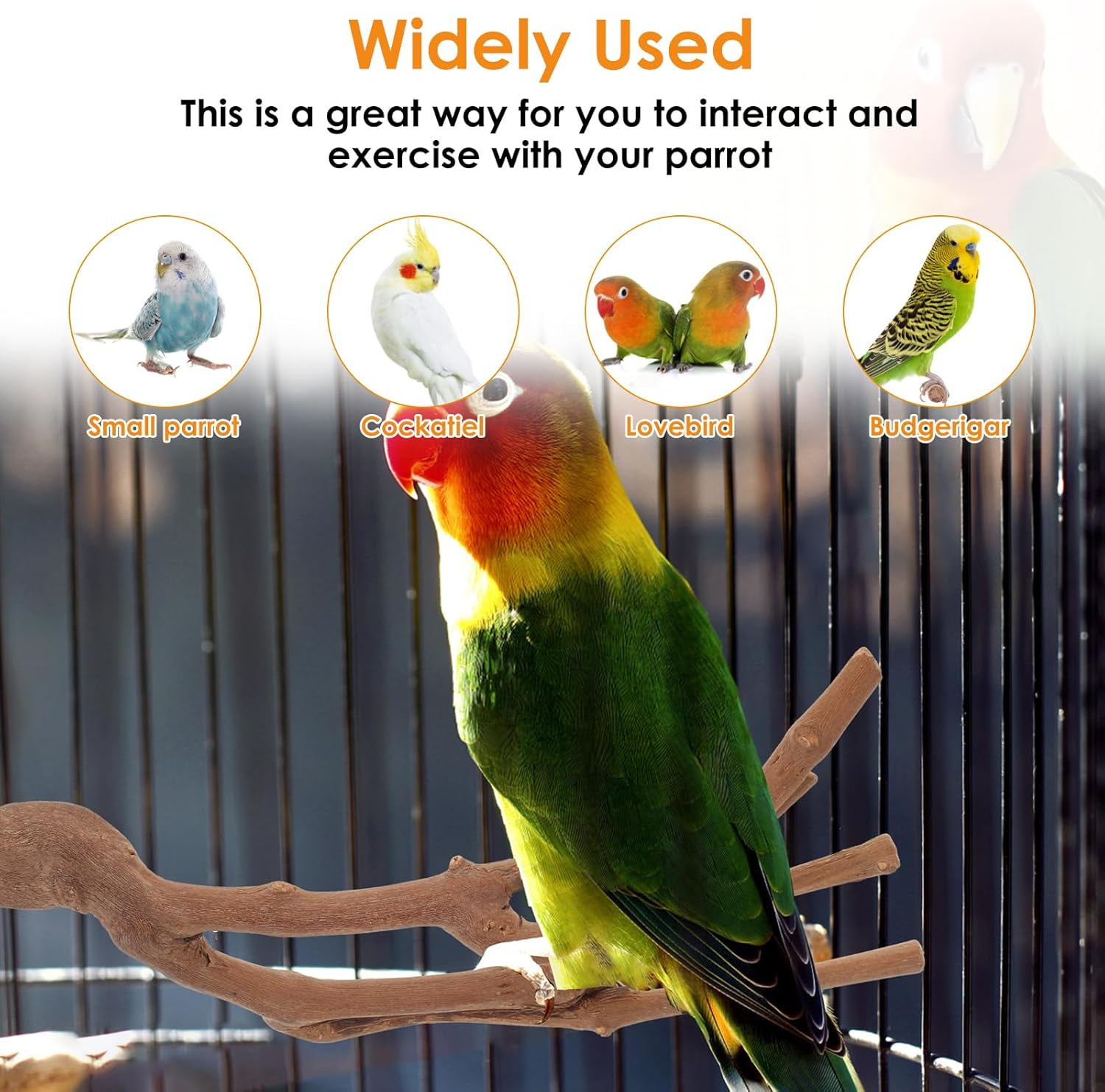 5PCS Bird Perch Stand, Natural Wood Parrot Stand Branch, Multifunctional Parrot Perch Toy Chewing Stick Exercise Training Branches, Practical Bird Cage Accessories for Most Types of Medium Large Birds image number 4