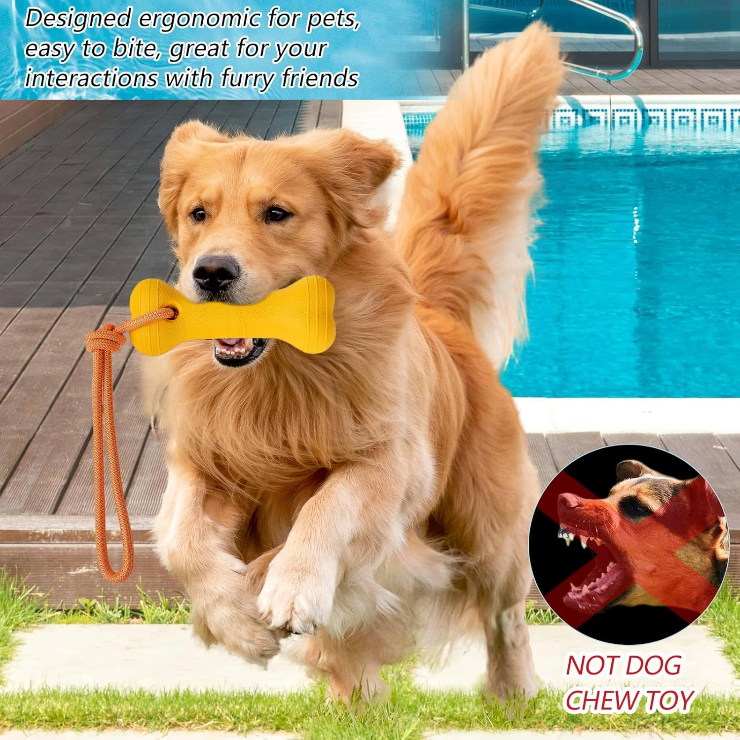 Lovelypaws 2 Pack Floating Dog Toys, Water Fetch Dog Pool Toys, Interactive Training Bumper for Dogs image number 6