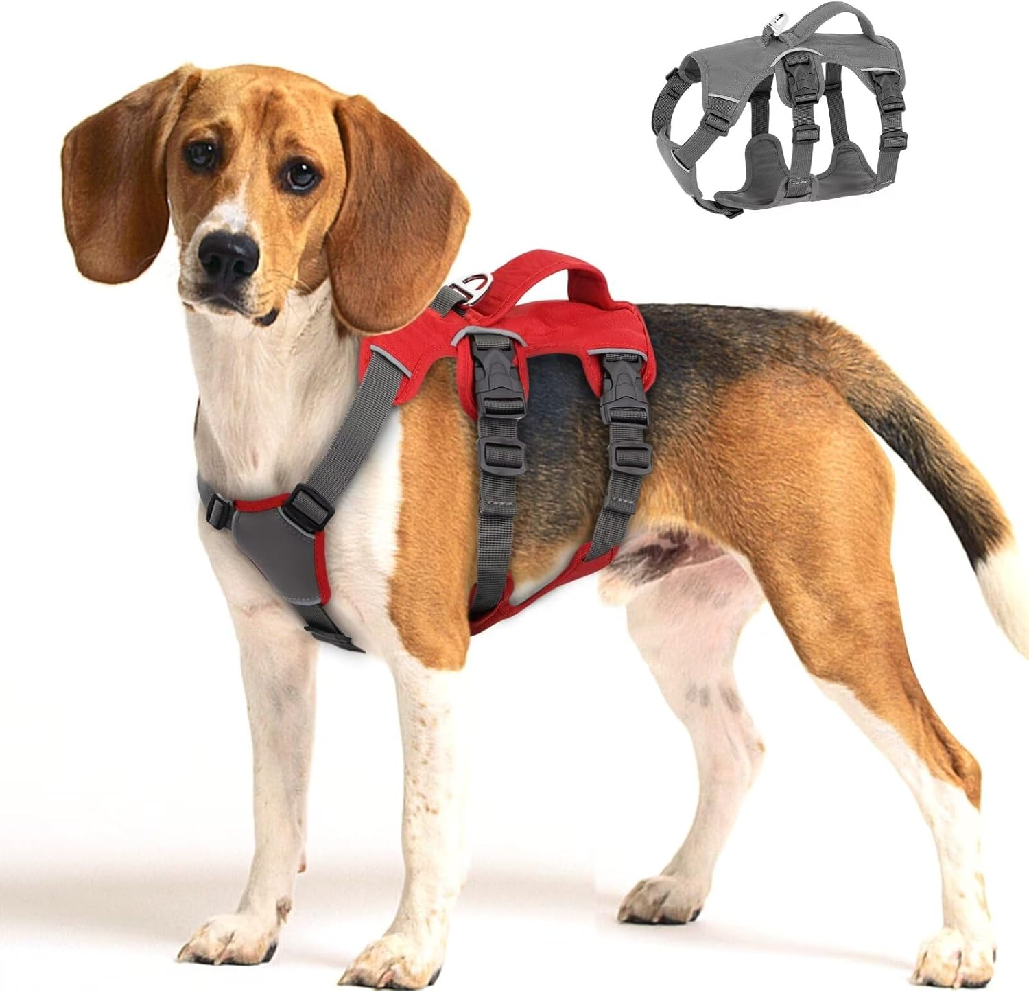 Beirui Escape Proof Dog Harness for Small Medium Large Dogs, Reflective Dog Harness No Pull with Padded Handle, Waterproof Dog Harness for Daily Walking Training (Red,Chest 11-22&rdquo;)