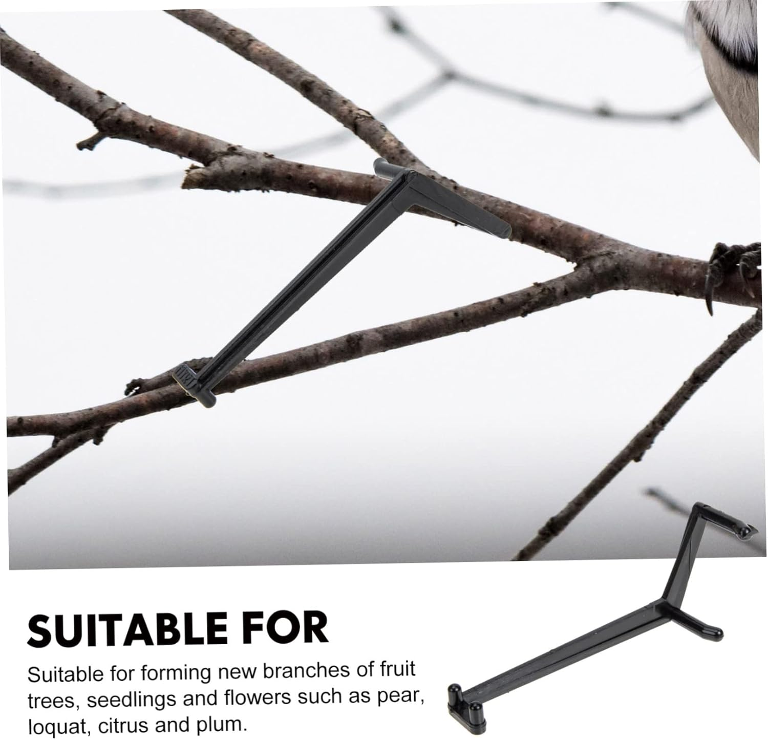 INOOMP 100Pcs Gardening Tool Plant Branches Clips Bending Clamps Fixing Tools for Fruit Trees Indoor Outdoor image number 5