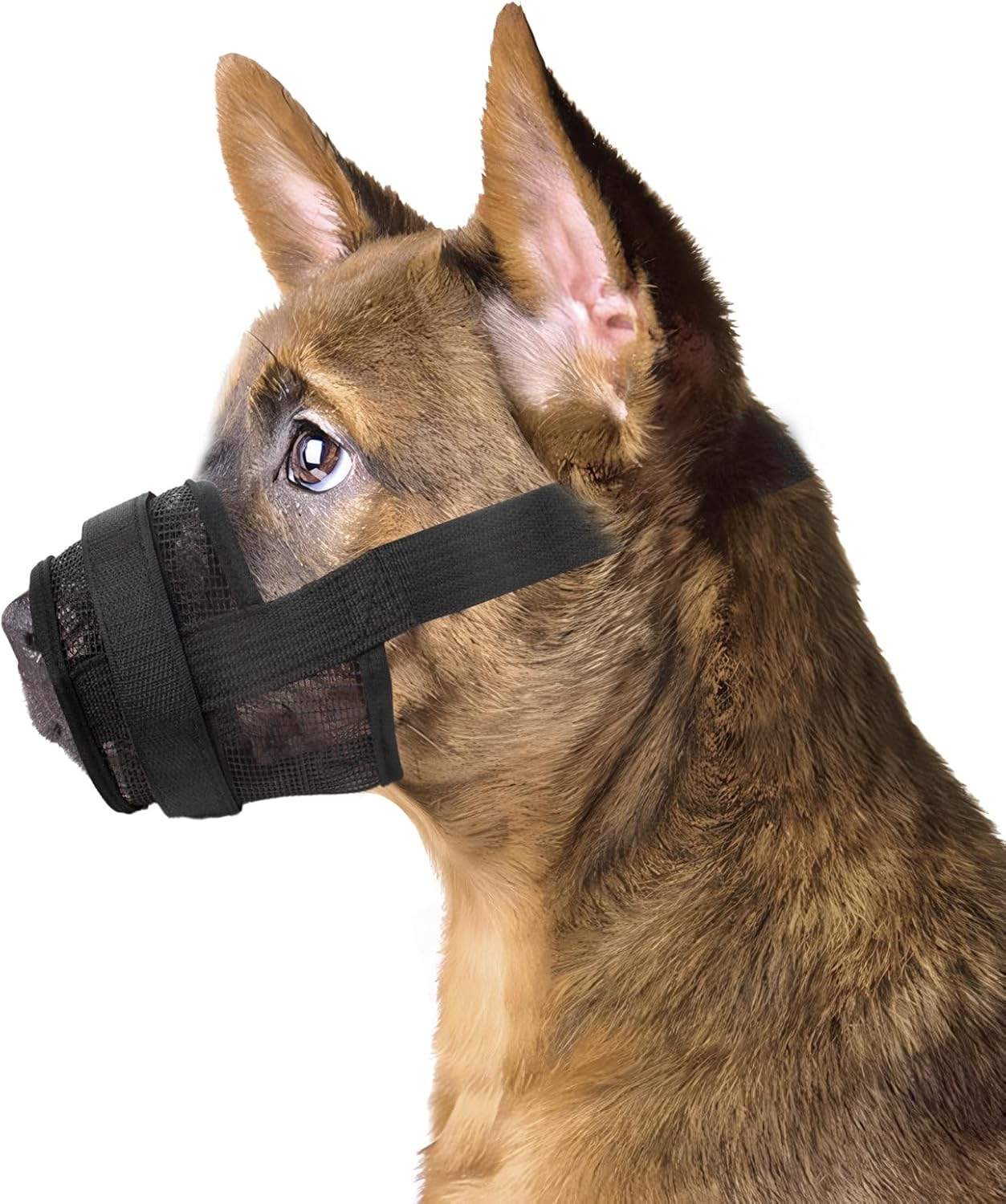 Byhoo Dog Muzzle Cover for Large Medium and Small Dogs Comfortable & Adjustable with Ultra-Breathable Soft Mesh Prevent Biting Barking and Chewing (Fits Mouth Size 8.66-11.02 Inches) image number 6