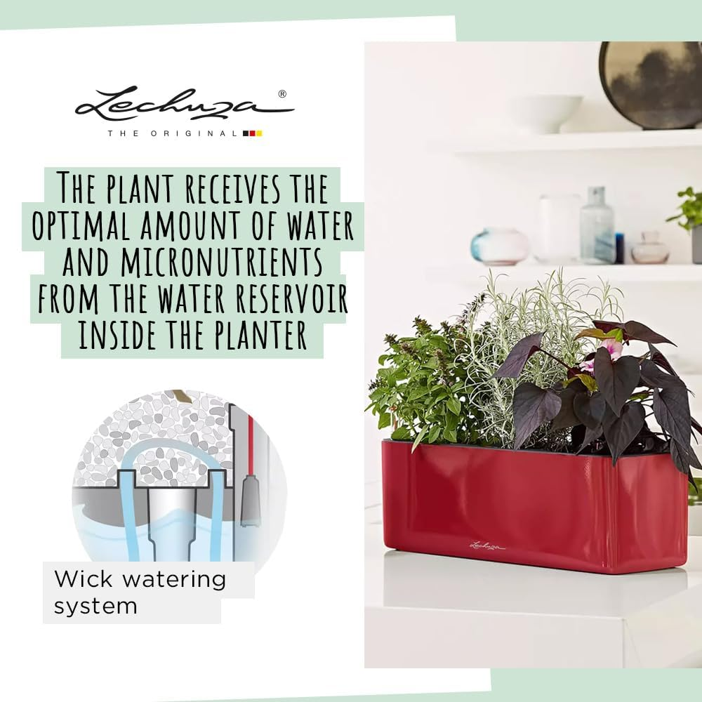 Lechuza Cube Glossy Triple Self-Watering Planter, Charcoal image number 6