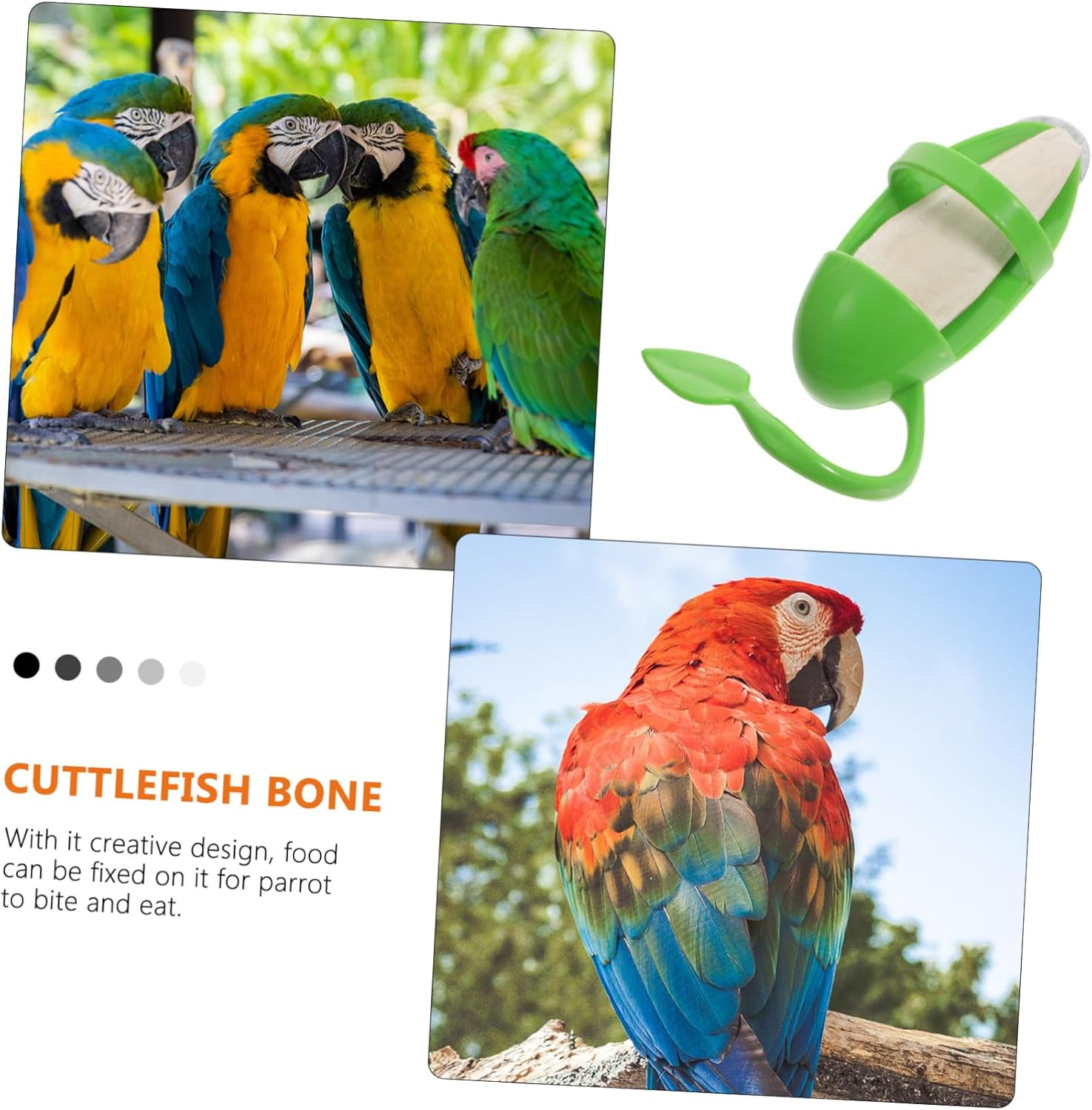 JOINPAYA 3Pcs Cuttlebone Parrot Feeding Rack Set Hanging Cuttlefish Bone Holders for Bird Cage Accessories, Pet Supplies for Parrots, Suitable for Bird Feeding and Calcium Supplement image number 4