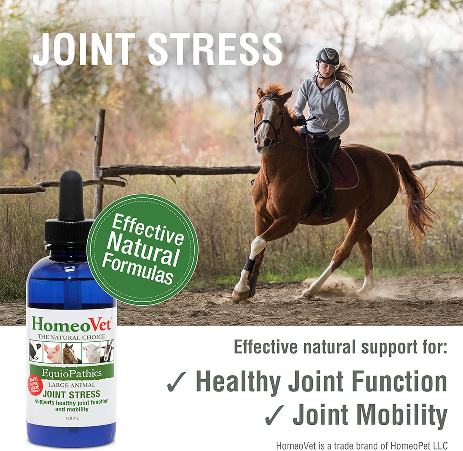 Homeovet Equine Joint Stress 120 Ml - a Natural Joint Relief for Horses to Care for Equine Mobility. Support and Supplement for Horse Joint Health, Reduce Stiffness, Enhance Flexibility and Movement image number 2