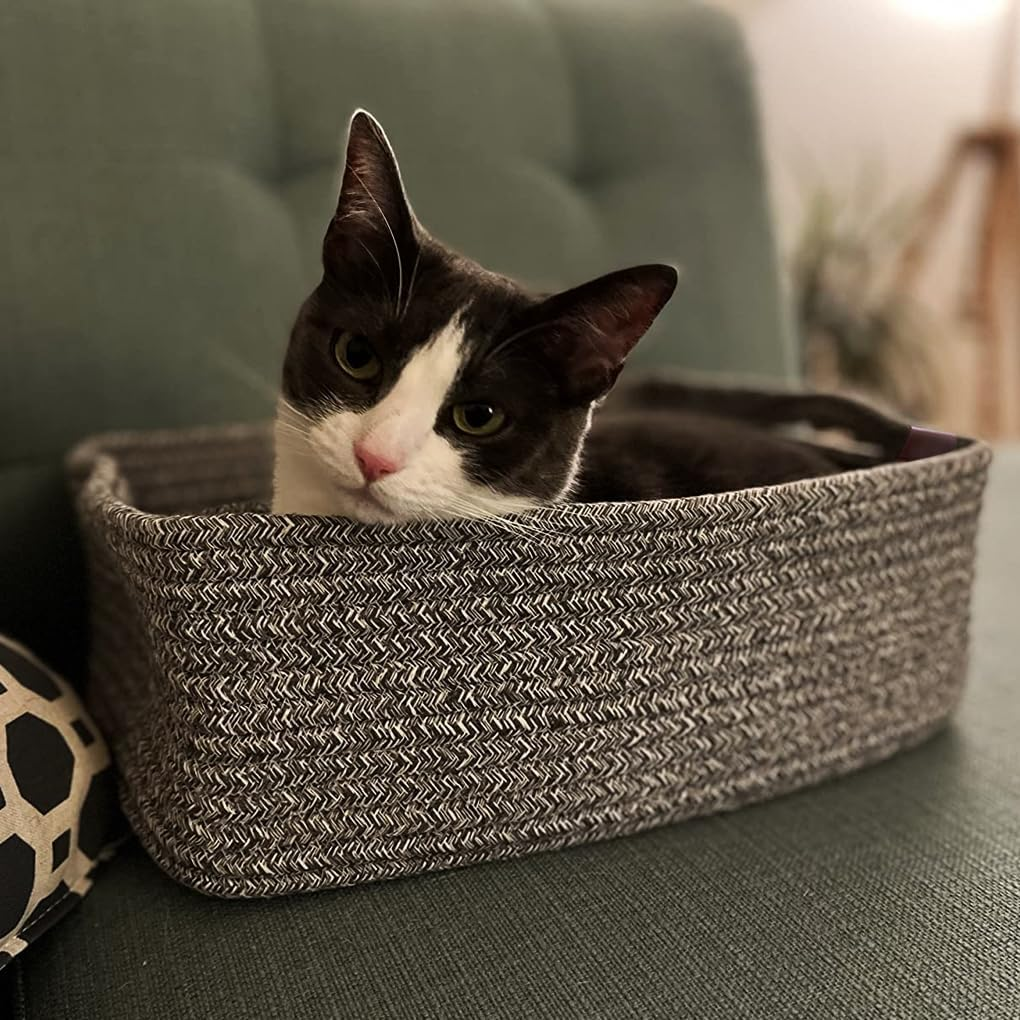 Cotton Rope Woven Basket with Handles, Baby Shower Gift Basket Empty, Toys, Cat Dog Toy, Books Organizing, Small Storage Basket for Closet Shelves, Blanket, Towel, Baby Nursery, Bathroom, Bedroom image number 3