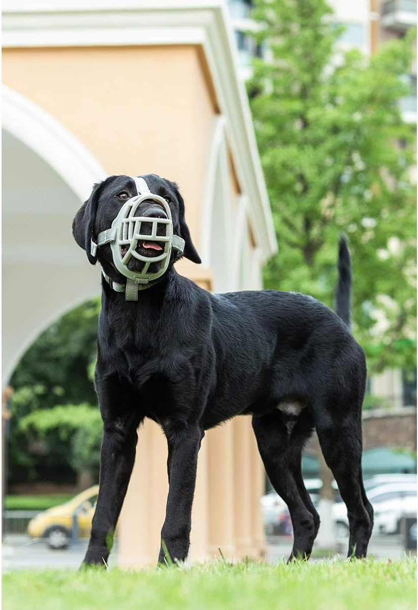 Dog Muzzle, Soft Silicone Basket Muzzle for Dogs, Allows Panting and Drinking, Prevents Unwanted Barking Biting and Chewing, Included Collar and Training Guide (1 (Snout 7-8"), Grey) image number 2