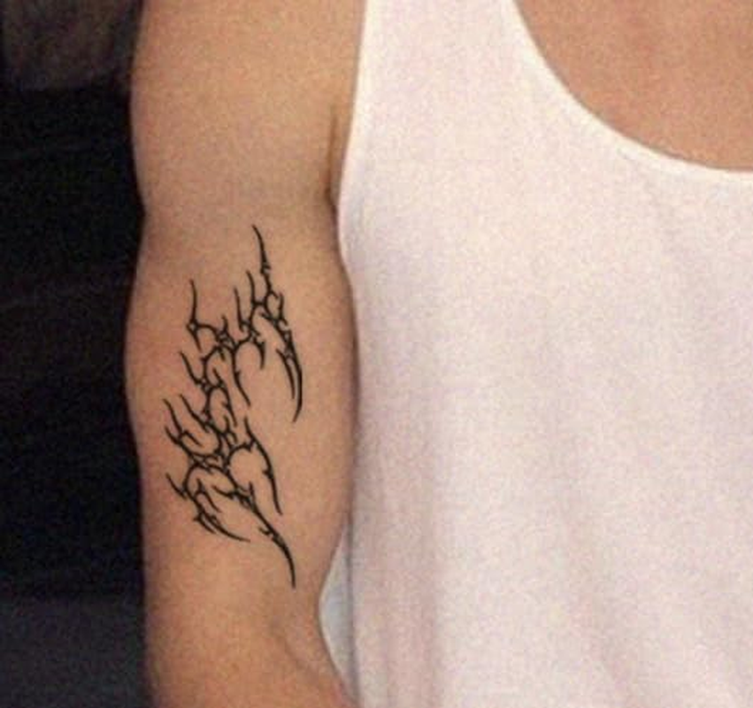 Cyber ​​Invasion Herbal Semi-Permanent Waterproof Long-Lasting Juice Tattoo Sticker Personalized image number 1