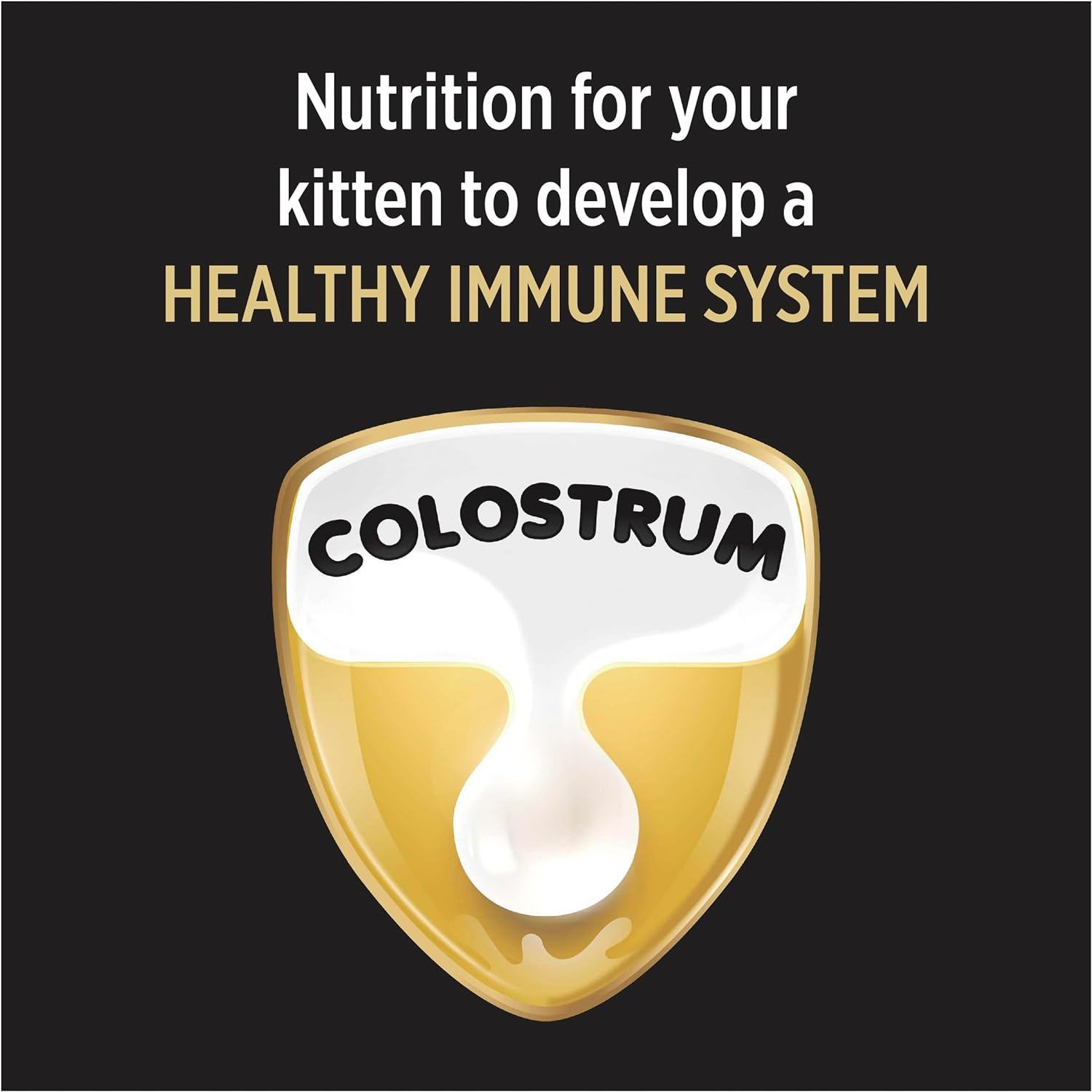 PRO PLAN Kitten Dry Cat Food Chicken 8Kg image number 3