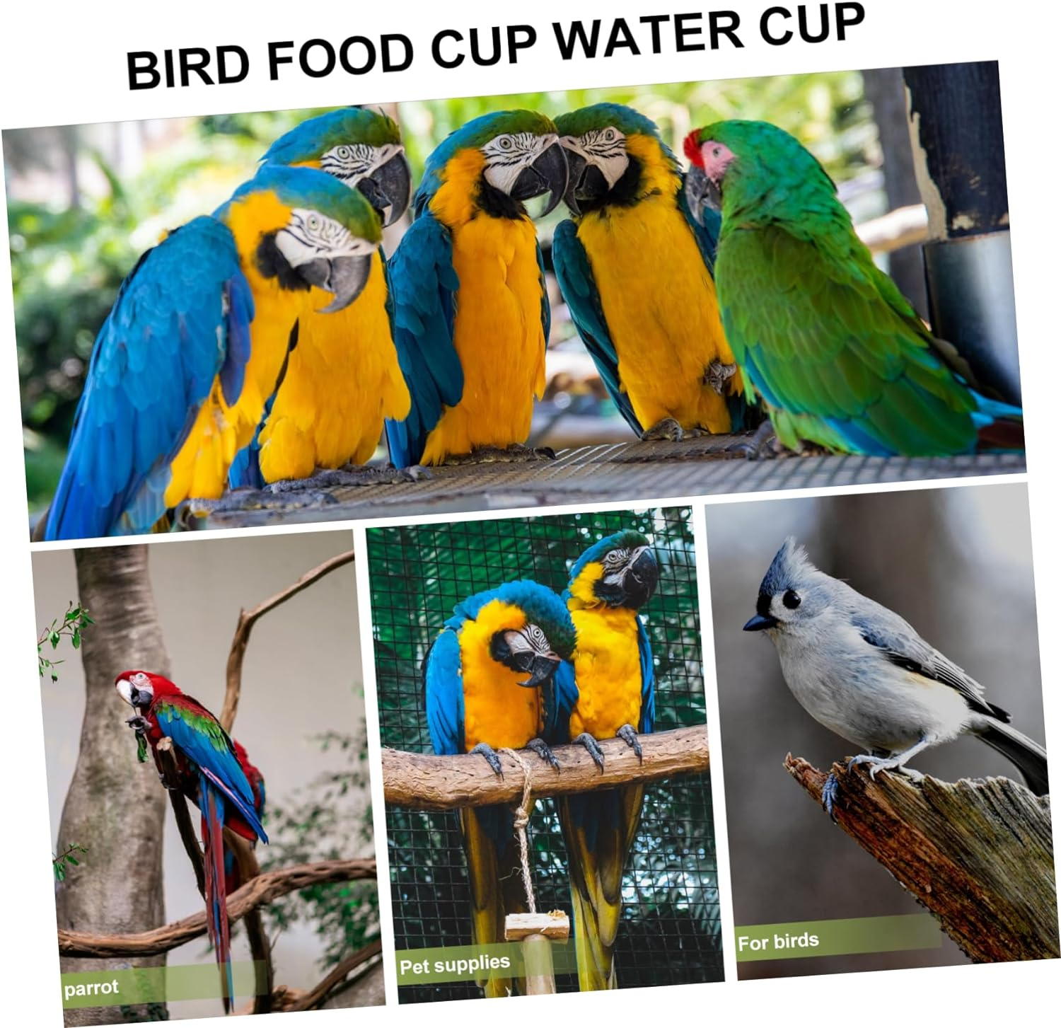 DOITOOL Parrot Feeder Water Bowl Stainless Steel Double Cups Clip Bird Feeding Bowls Cage Accessories for Birds image number 7