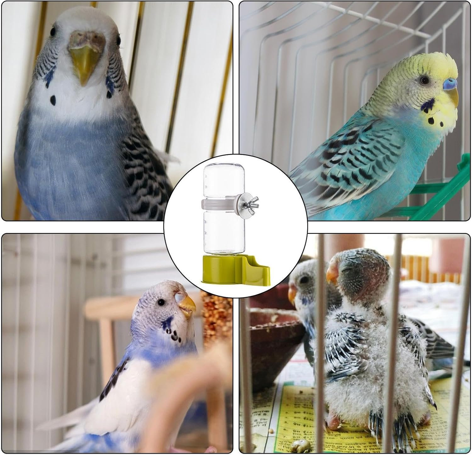 Automatic Bird Water Dispenser - 140ML Large Capacity Parrot Water Dispenser - Spill Proof Water Dispenser for Rutins, Budgies, Finches, Starlings image number 1