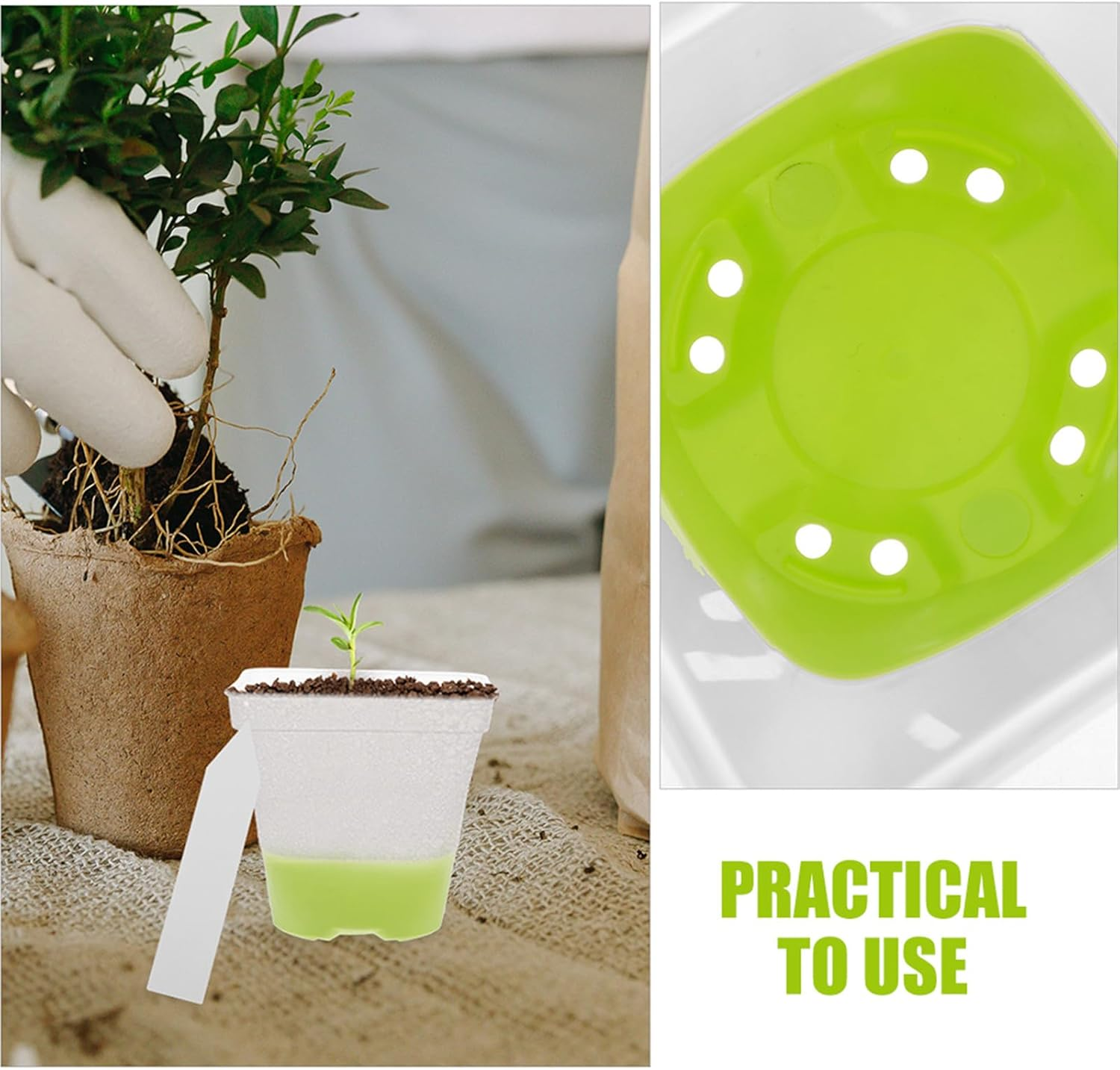 FONDOTIN 18Pcs Clear Plant Nursery Pots - 3" Reusable Plastic Planters with Drainage - Silicone Base Starter Pots for Seedlings Propagation Greenhouse Gardening image number 5