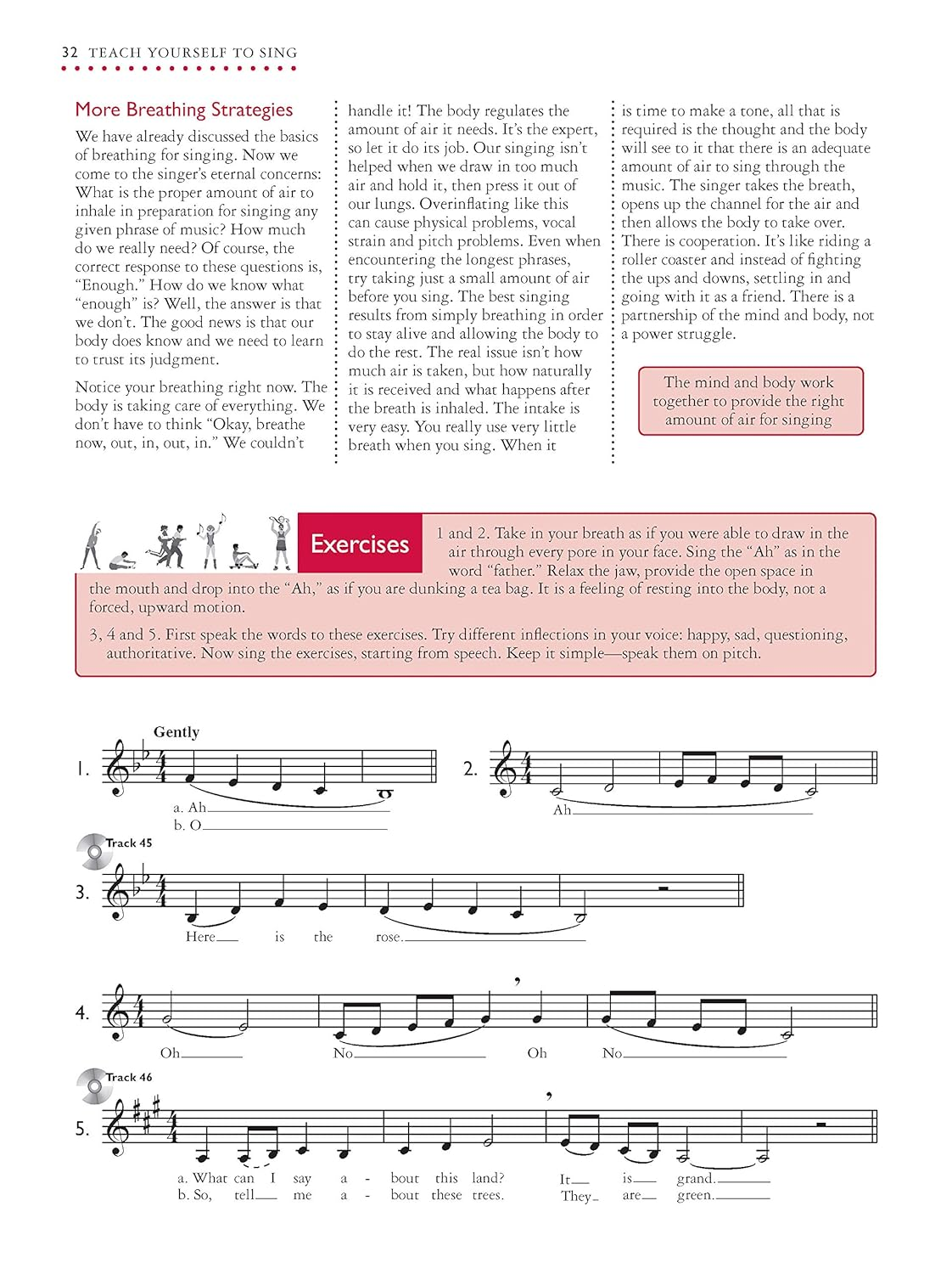 Teach Yourself to Sing: Everything You Need to Know to Start Singing Now! image number 6