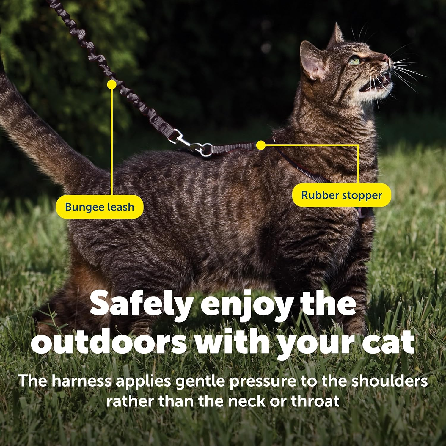 Petsafe Come with Me Kitty Harness and Bungee Leash, Small, Black image number 5