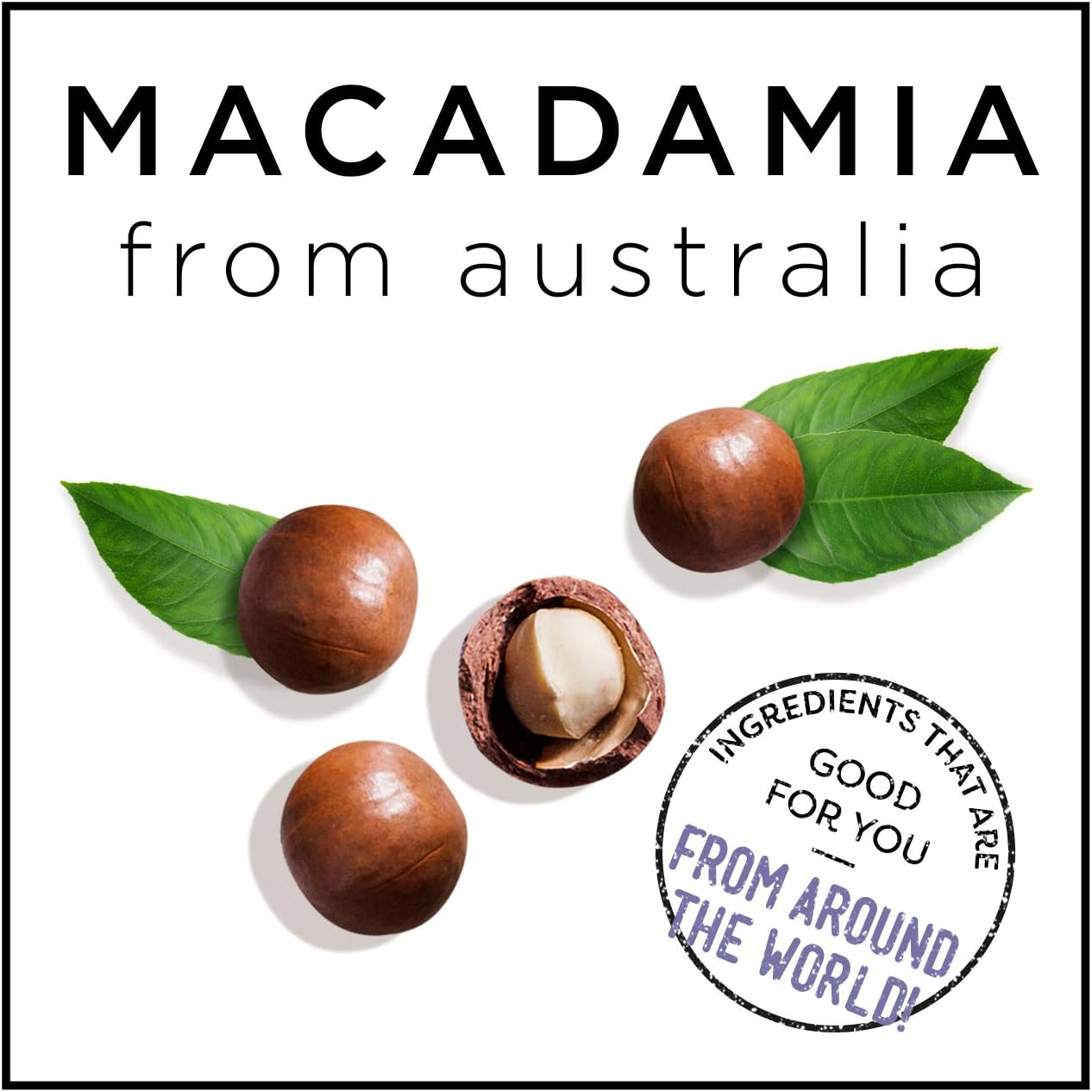 Hask Vials Macadamia Oil Shine Treatment, 0.62 Fl Oz (Pack of 12) image number 2