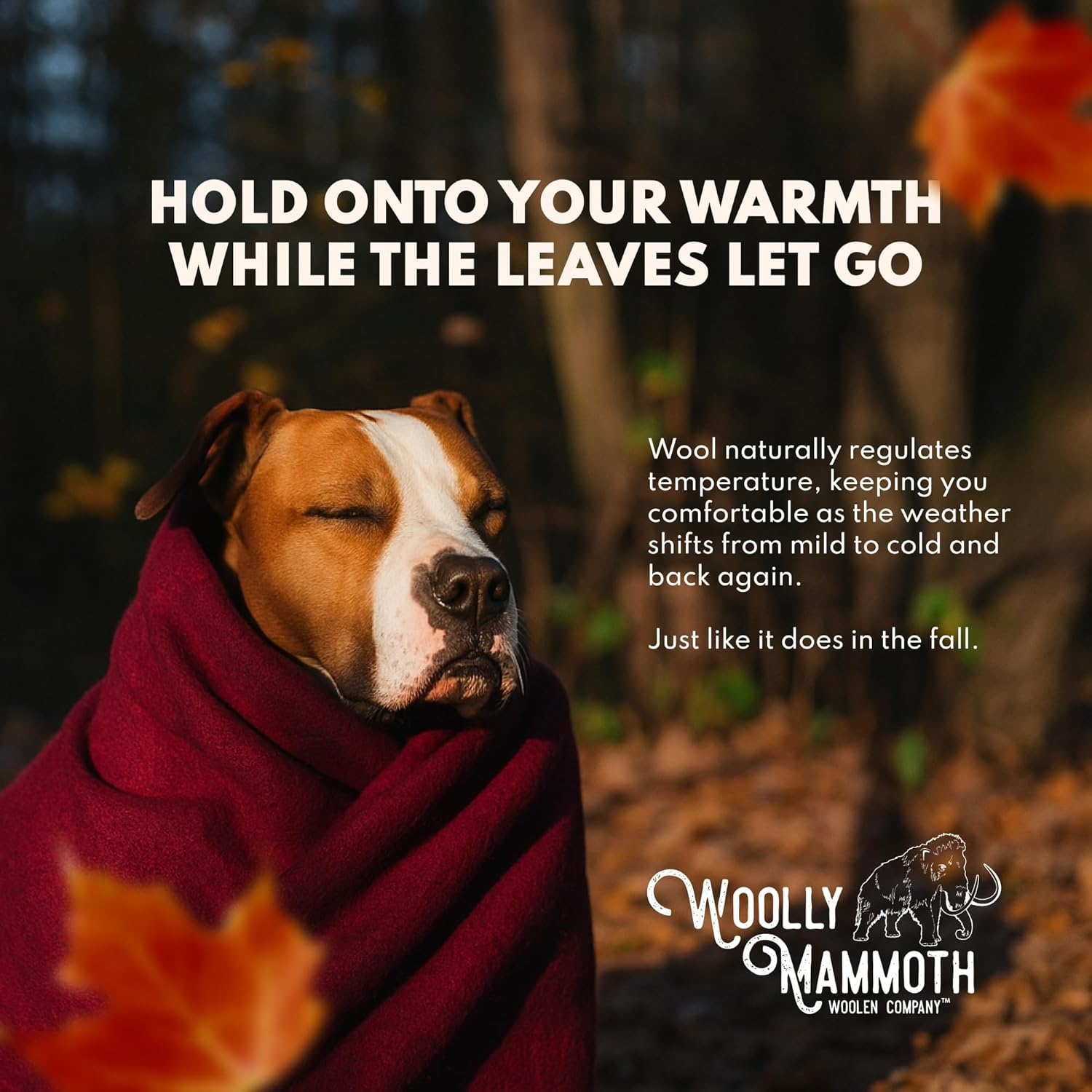 Woolly Mammoth Woolen Co. | Extra Large Merino Wool Camp Blanket | Perfect Outdoor Gear | Bedroll for Bushcraft, Camping, Trekking, Hiking, Survival, or Throw Blanket at the Cabin (Gray), 66" X 90" image number 2