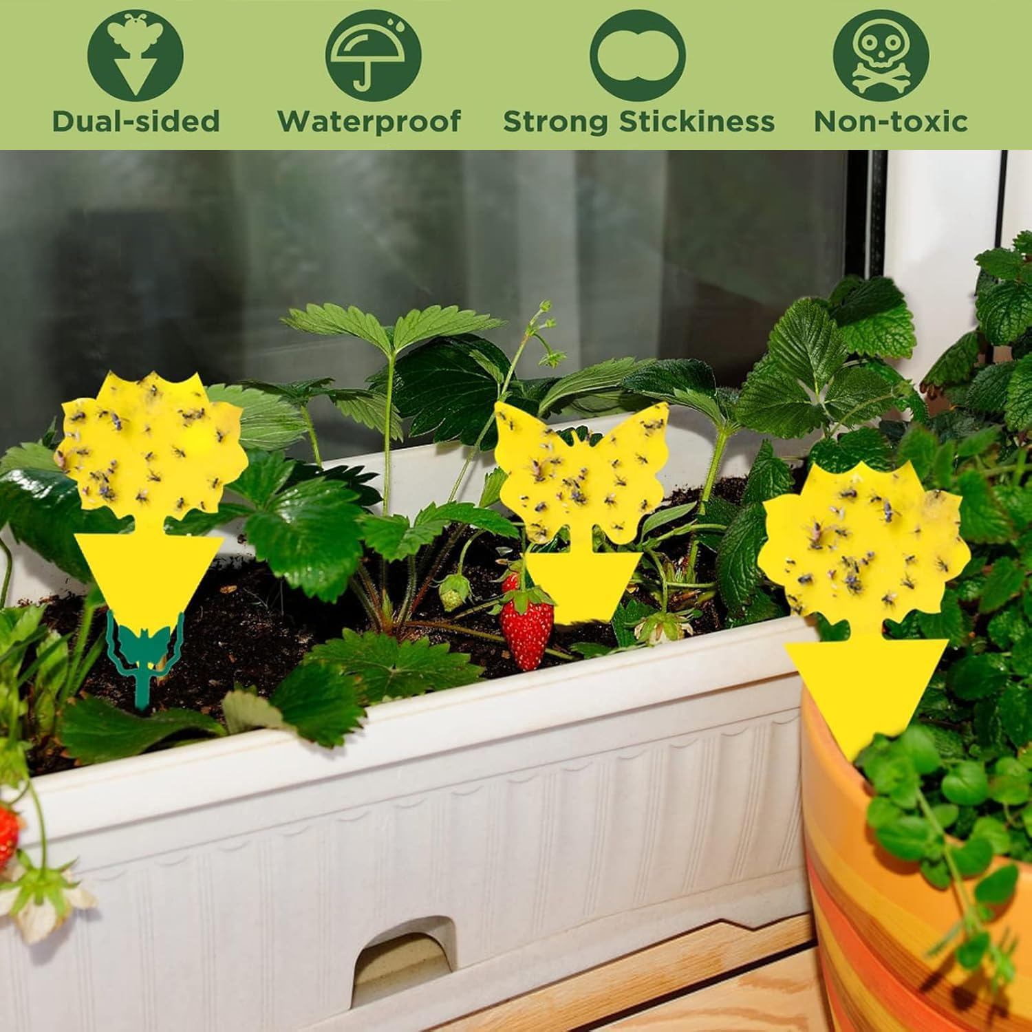Aieve 54 PCS Sticky Traps, Yellow Dual-Sided Sticky Insect Catcher, Fruit Fly Fungus Gnat Trap Killer with Twist Ties, for Whiteflies Mosquitos Fungus Aphids Leafminers Indoor Outdoor image number 2