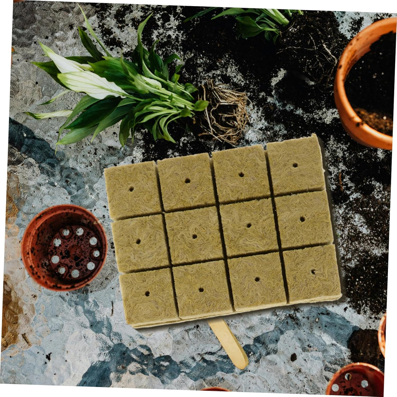 CAXUSD Nursery for Plant Grow Cubes Plugs Hydroponic Nutrients Vertical Hydroponic Garden Plant Supply image number 5