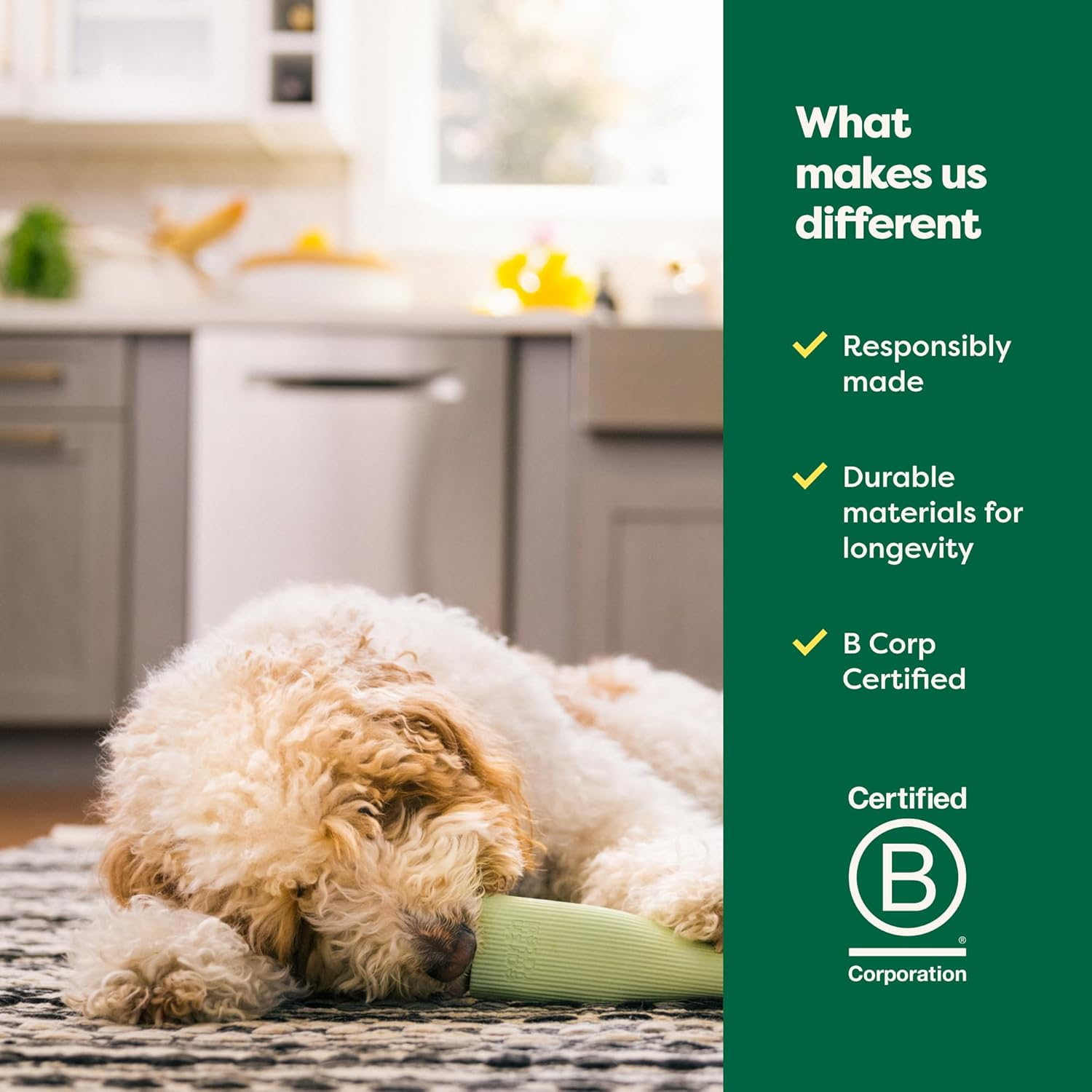 Earth Rated Dog Toy, Enrichment Toys for Adult and Puppy Dogs, Dishwasher and Freezer-Safe, Natural Rubber, Small, Green image number 2