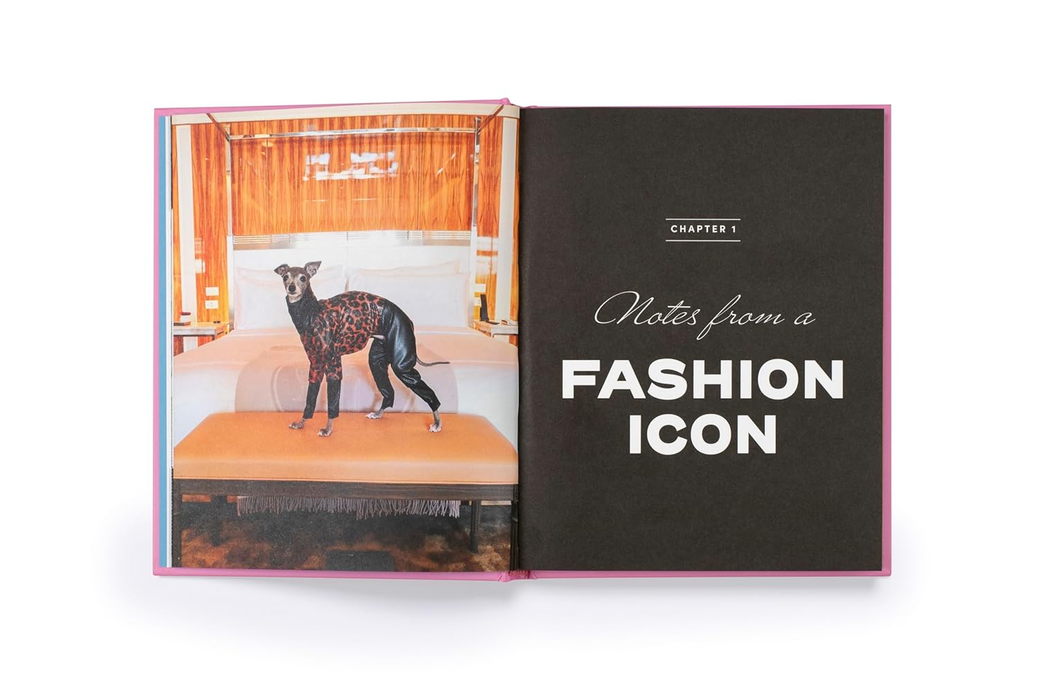 Tika the Iggy: Lessons in Life, Love, and Fashion image number 2