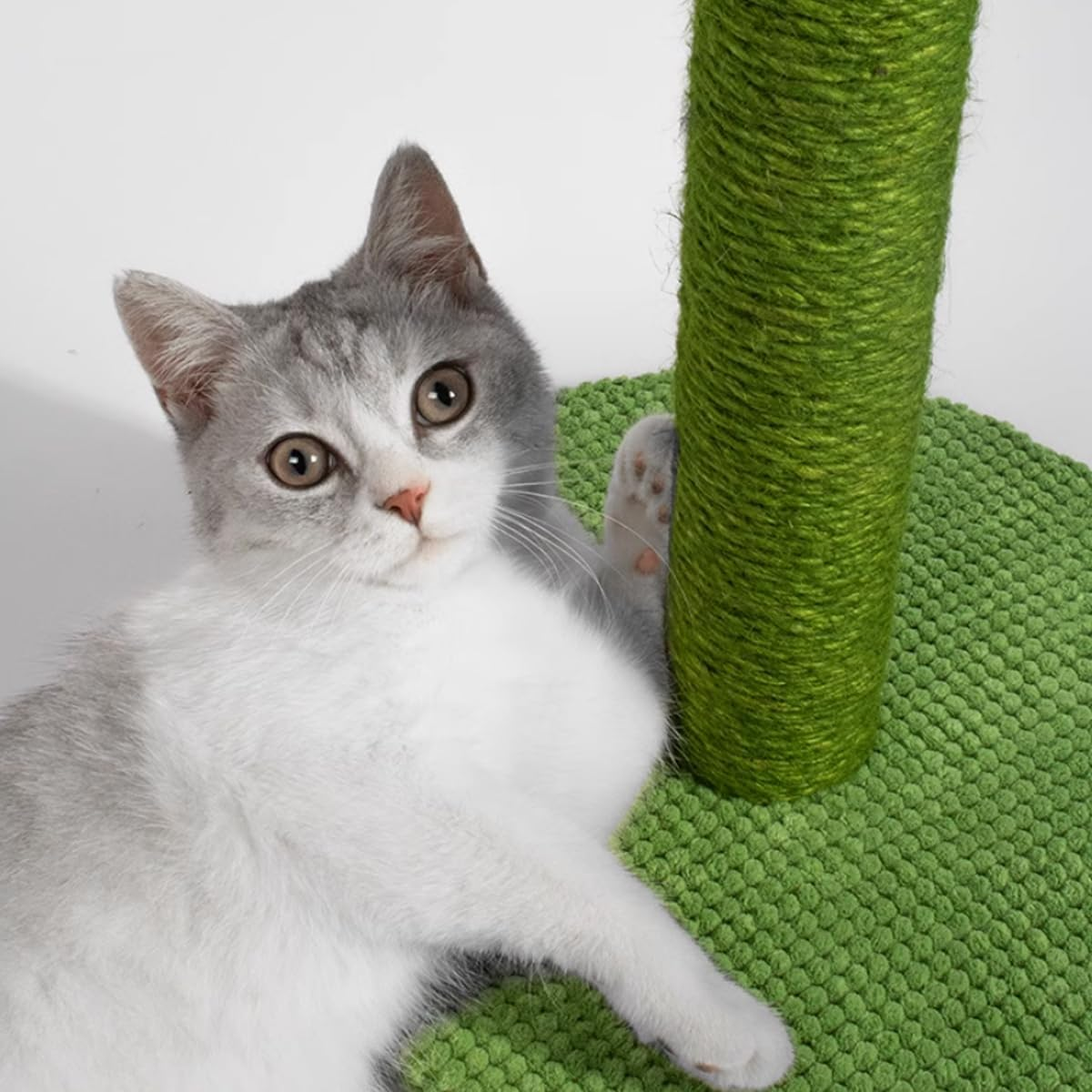 AIMALL Cactus Cat Scratching Post with Sisal Rope and Corduroy &ndash; Vertical Climbing Toy Scratch Board for Indoor Cats with Decorative Flowers &ndash; 23.6In Tall Cat Furniture image number 6