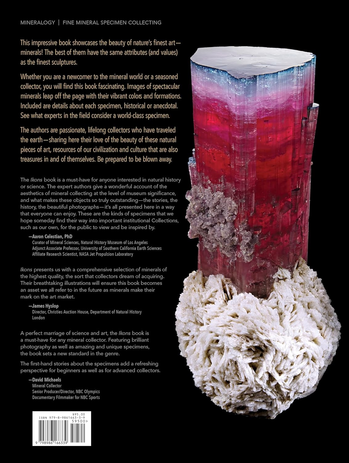 Ikons of the Mineral World: Nature'S Finest Art image number 1