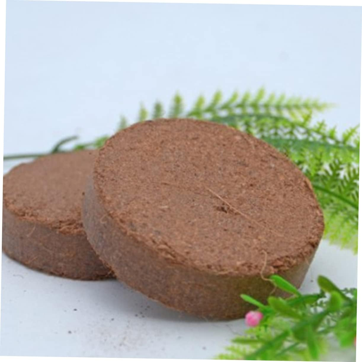 Sosoport Coconut Fiber Nutrient Soil Blocks for Gardening Compressed for Vegetable and Flower Planting 5 Pcs (6X2.5Cm) image number 3