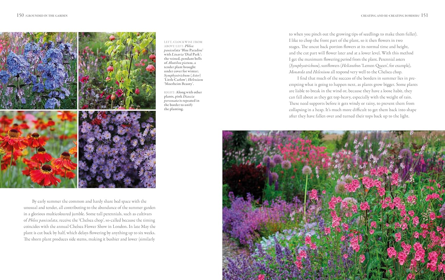Grounded in the Garden: an Artist'S Guide to Creating a Beautiful Garden in Harmony with Nature image number 5