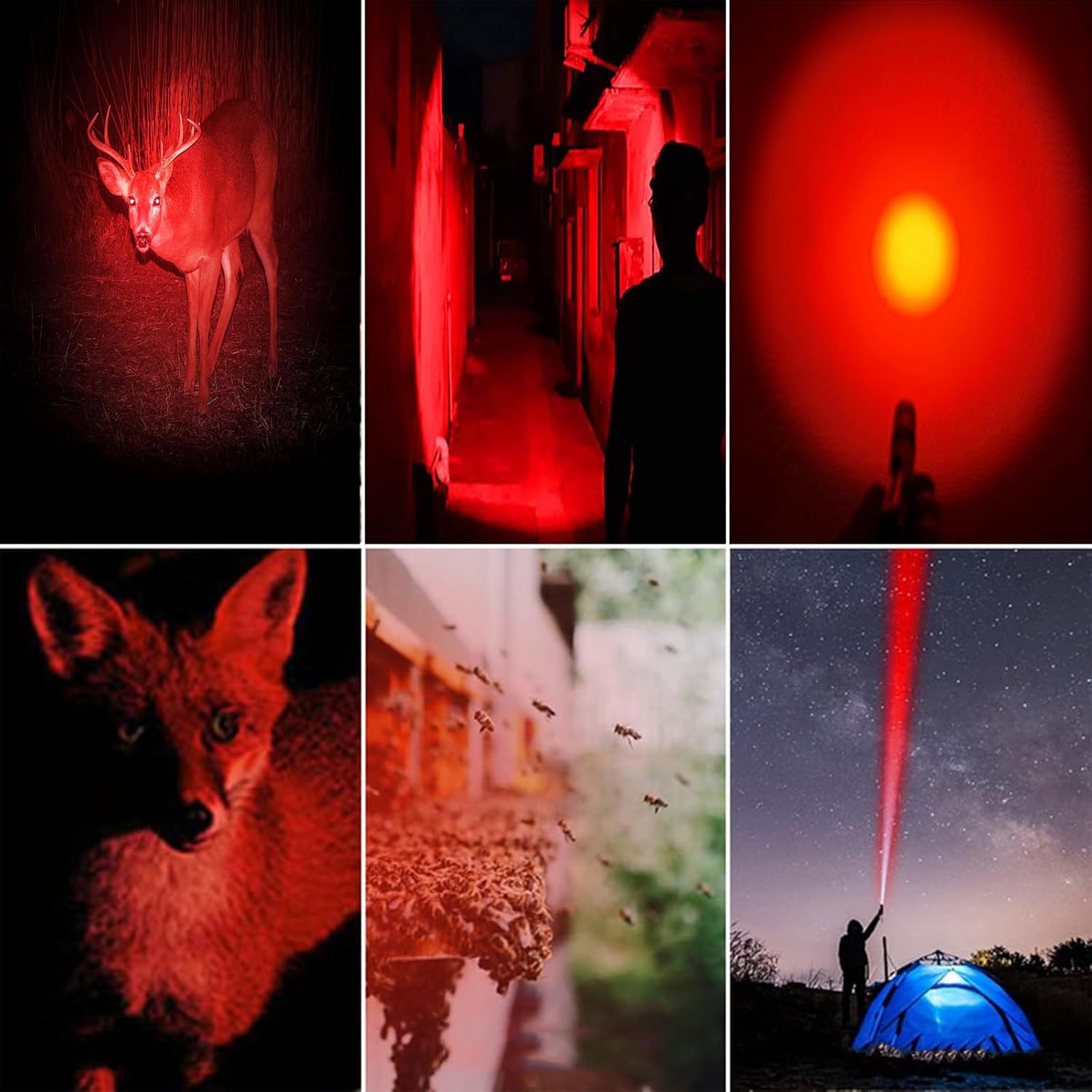 MODOAO Red Light LED Torch, 4 Pack High Power LED Pen Flashlights, Waterproof Handheld Flashlights Pocket Compact Torch with Clip, for Camping, Hiking, Night Vision, Astronomy and Emergency image number 3