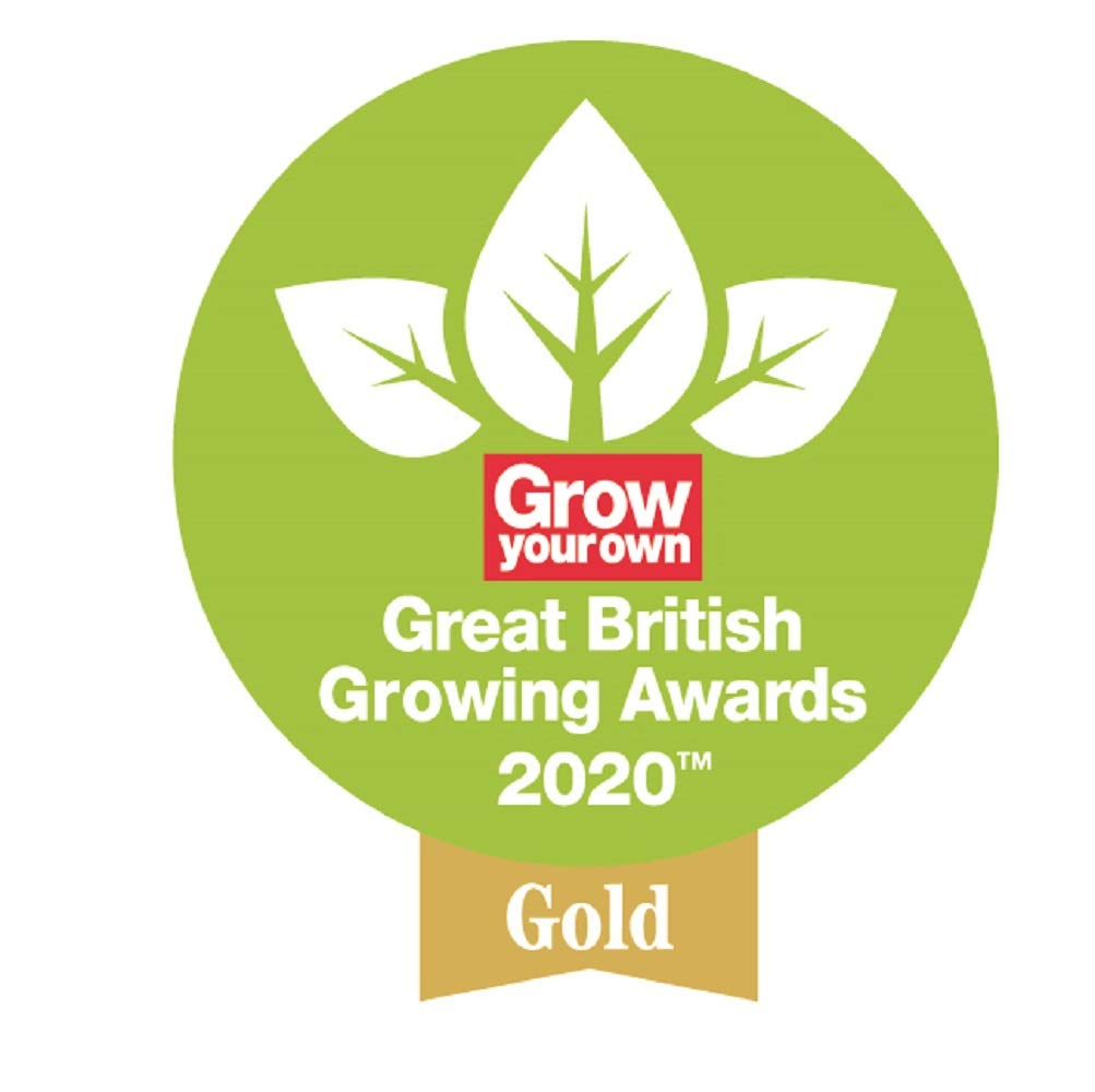 Spear & Jackson BORDER FORK - STAINLESS STEEL TINES, HARDWOOD SHAFT, D-HANDLE SJ-1561BF, Multicolor image number 1