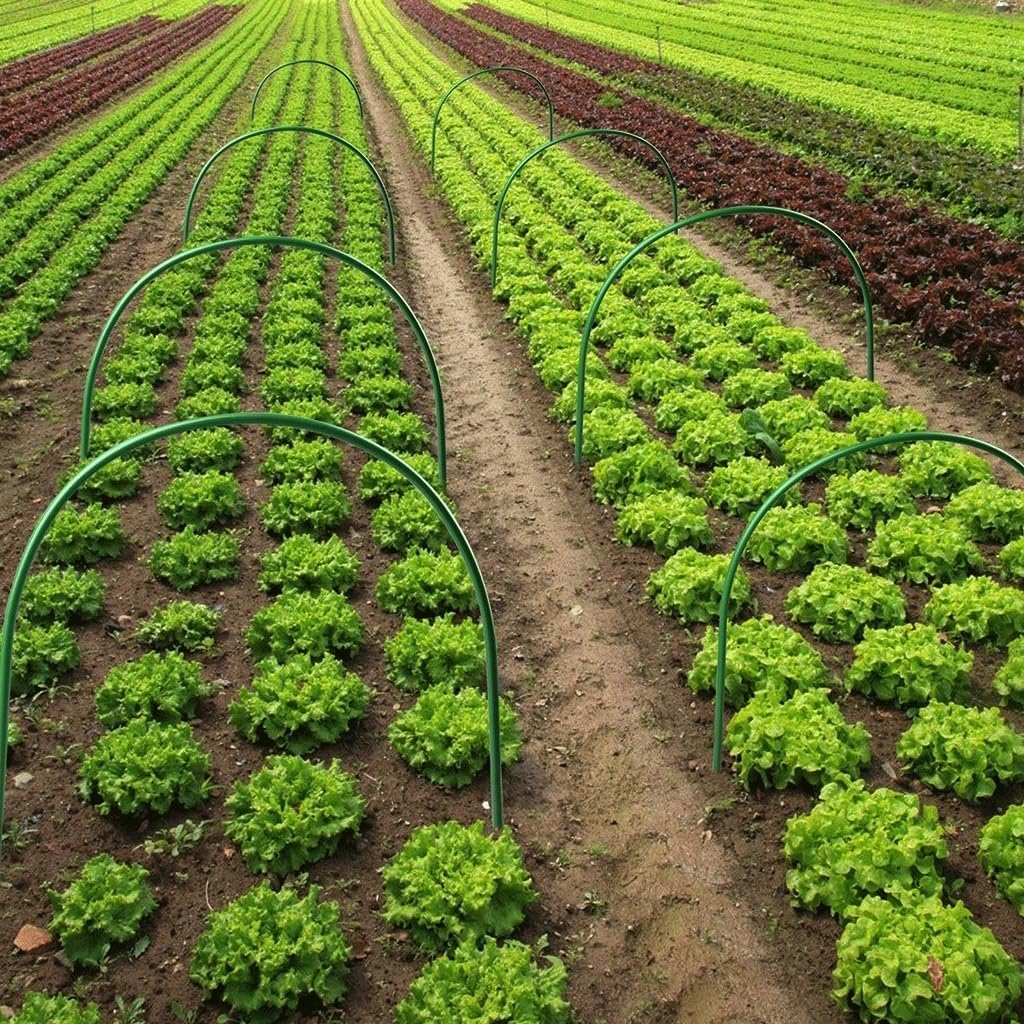 6PCS Gardening Planting Tunnel Hoop Support Hoops Plant Holder Tools, for Garden Agricultural Greenhouse Beds Supports Supplies(W108Xh60Cm)