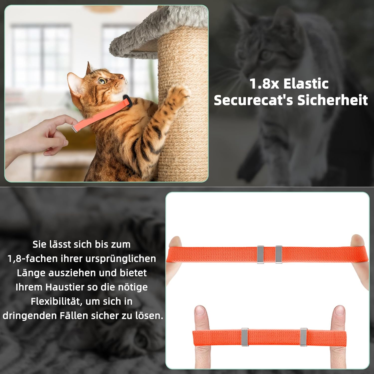 Airtag Cat Collar, Stretchy Kitten Collar with Apple Air Tag Holder, Lightweight and Comfortable, Ultra Elastic GPS Cat Collars for Cats, Kittens and Puppies [Orange] image number 1