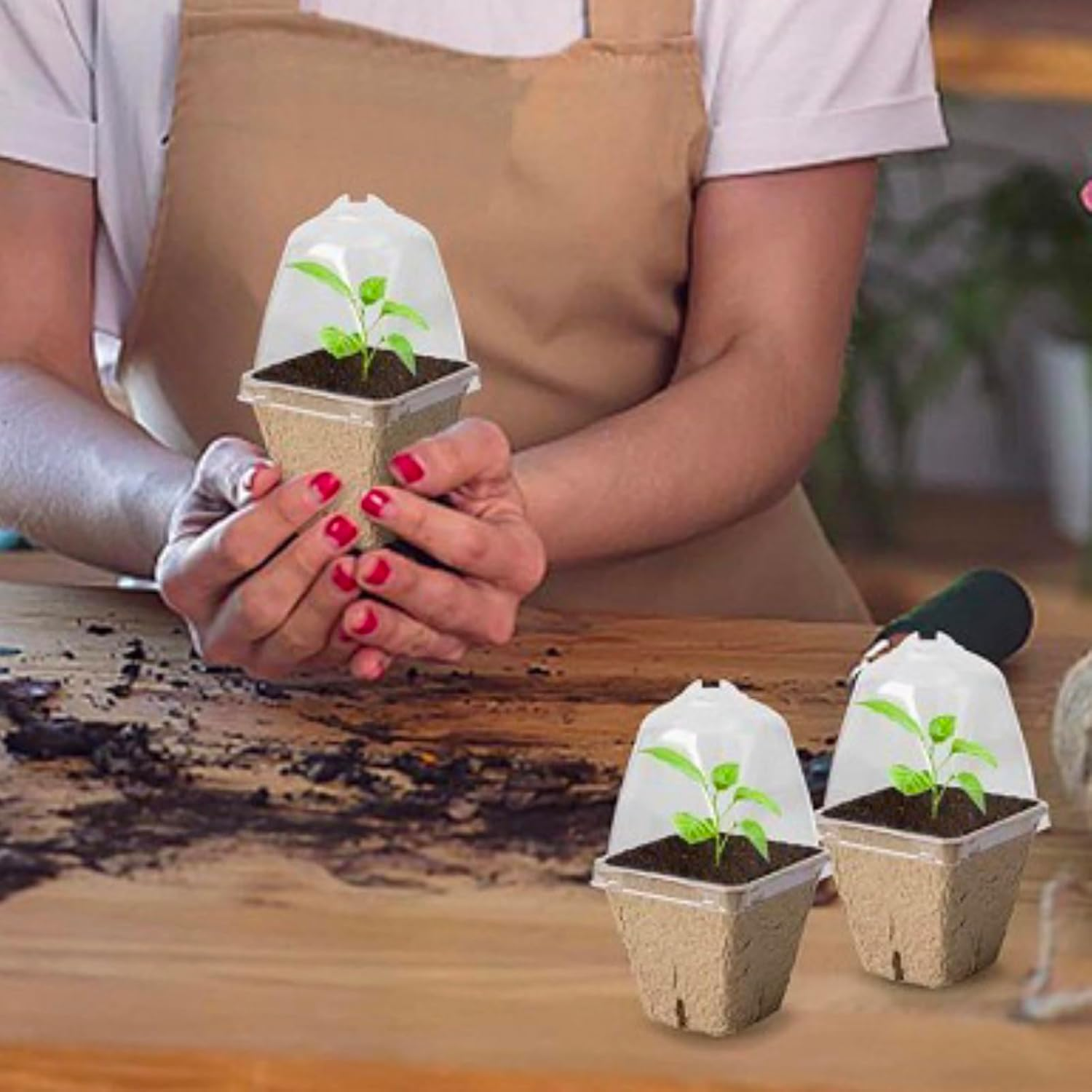 20 Pcs Seedlings Peat Pots, Biodegradable Nursery Pots for Plants with Humidity Domes with 20Pcs Plant Labels, Square Design for Plants, Flowers, Vegetables image number 2