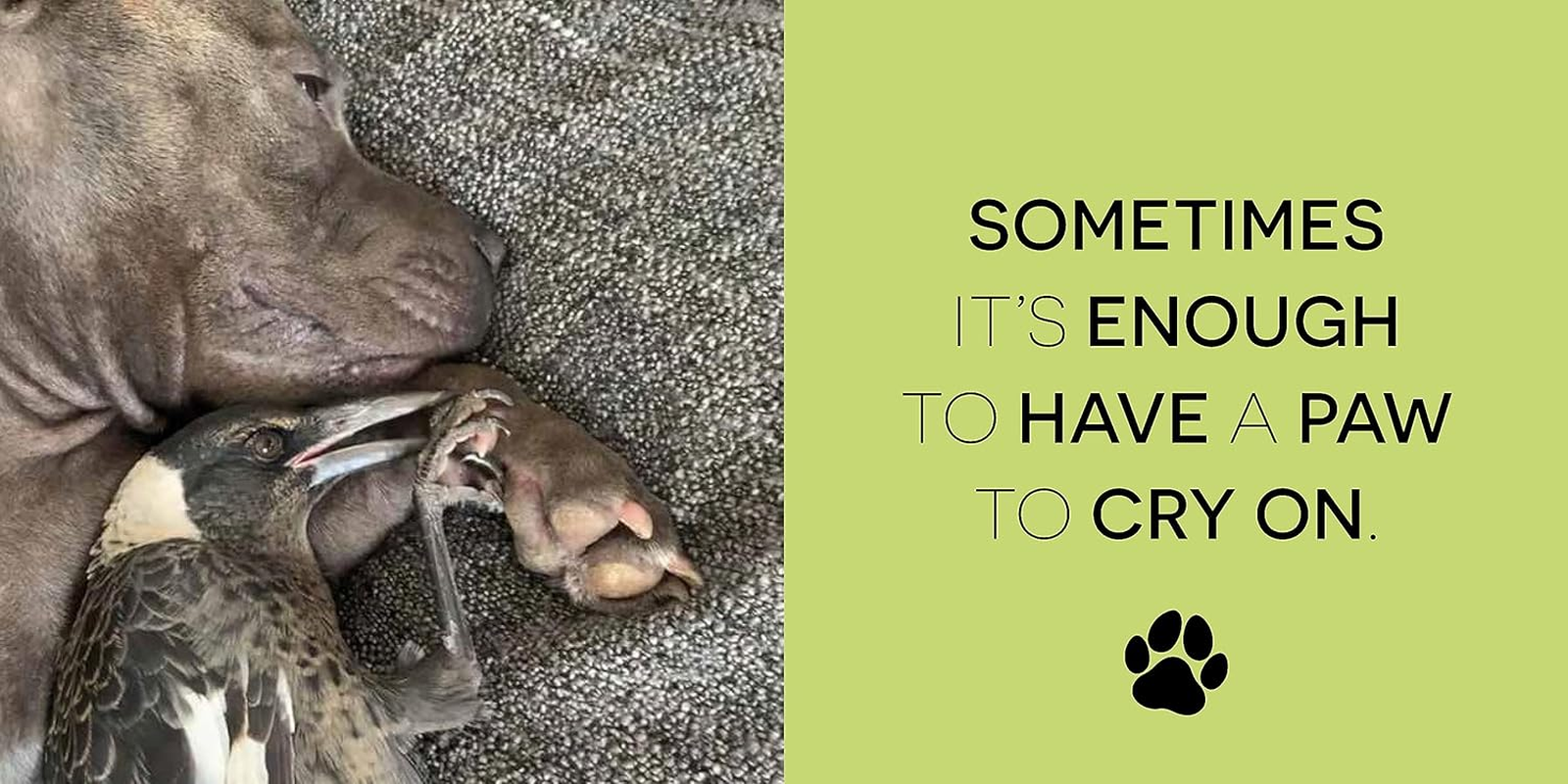 Peggy and Molly: Be Kind, Be Humble, Be Happy