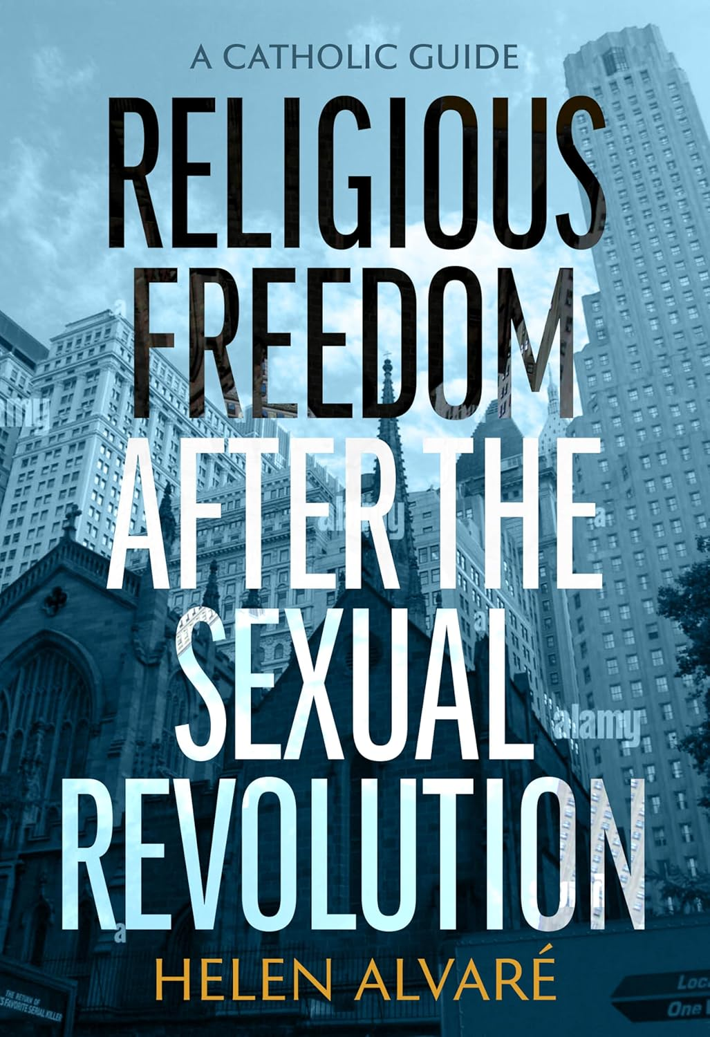 Religious Freedom after the Sexual Revolution: a Catholic Guide