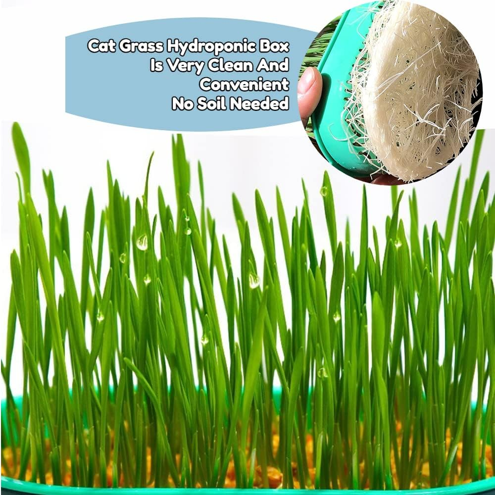 Cat Grass Planter Plastic Grass Box for Indoor Cat Grass,Practical Soil Free Growing Containers (Pink2) - Pink1 image number 3