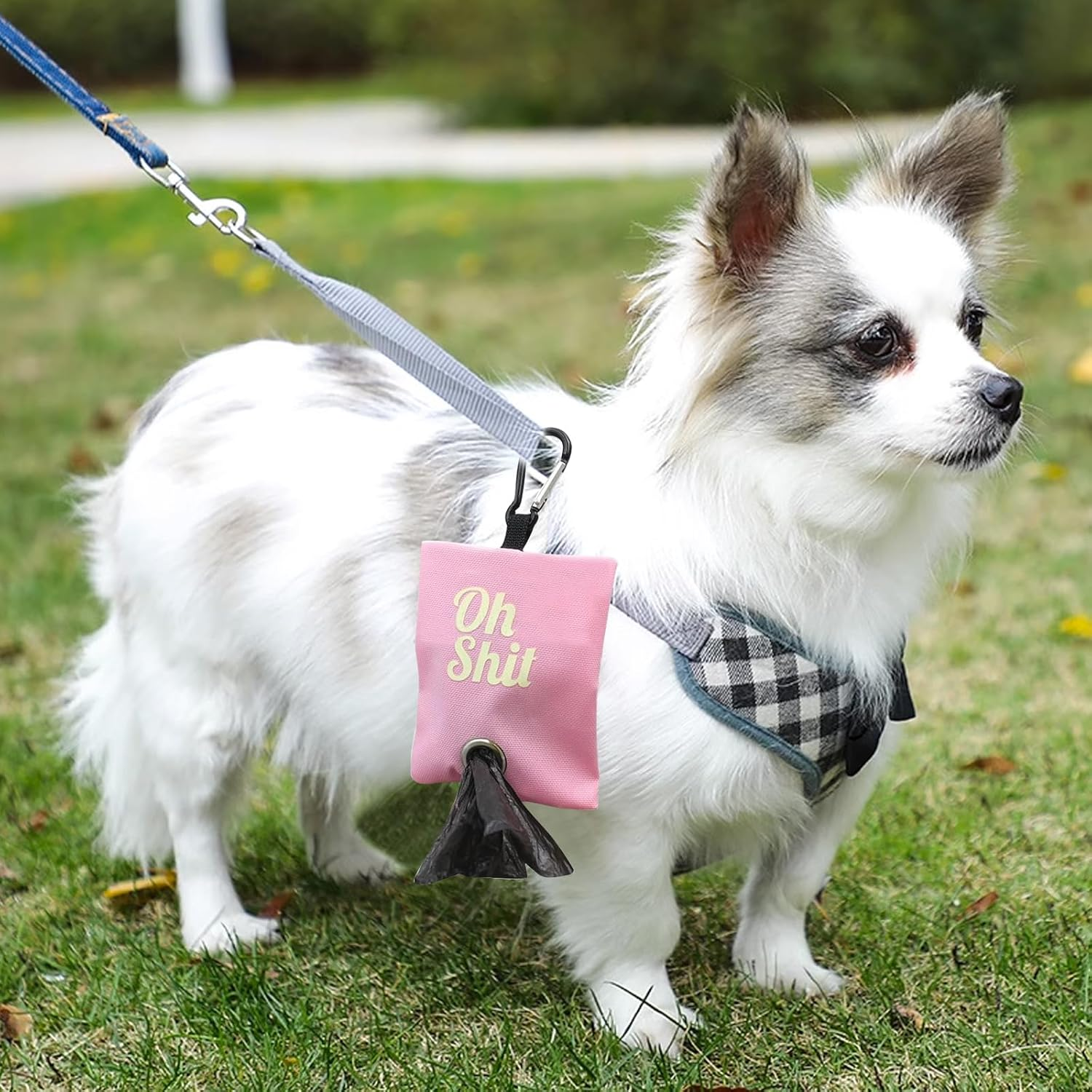 RTRTGS Pack of 2 Dog Waste Bag Dispenser, Portable Dog Waste Bag Holder for Leash, Dog Poo Bags Container with Metal Clip for Walking, Running or Outdoor Accessories (Pink, Rose Red) image number 4