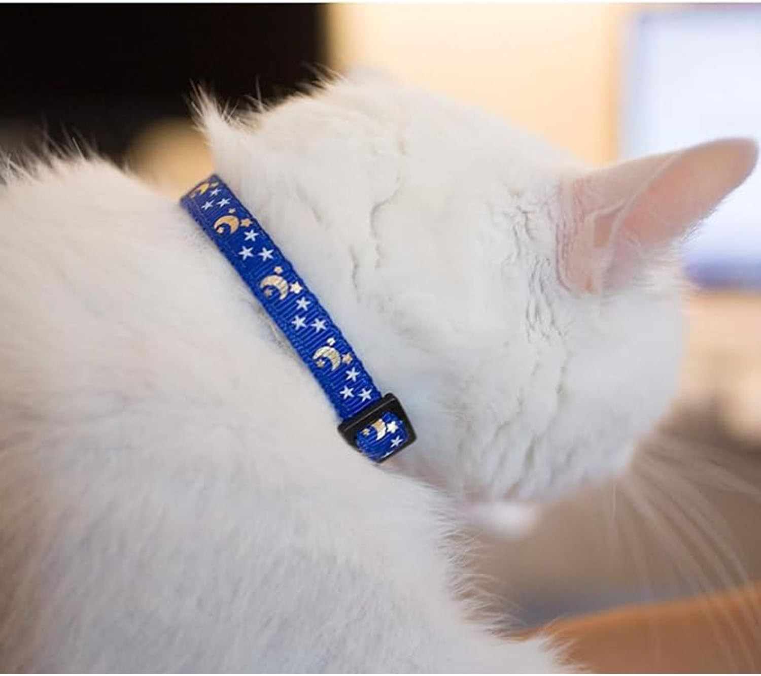 EOMECUIGAO Breakaway Cat Collar with Bells 2PCS Adjustable Moon and Star Kitten Safety Collars (Black &Blue) image number 4