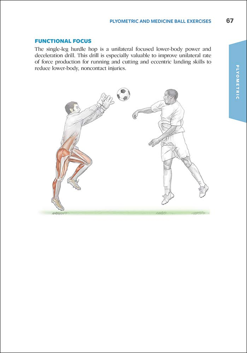 Functional Training Anatomy image number 5
