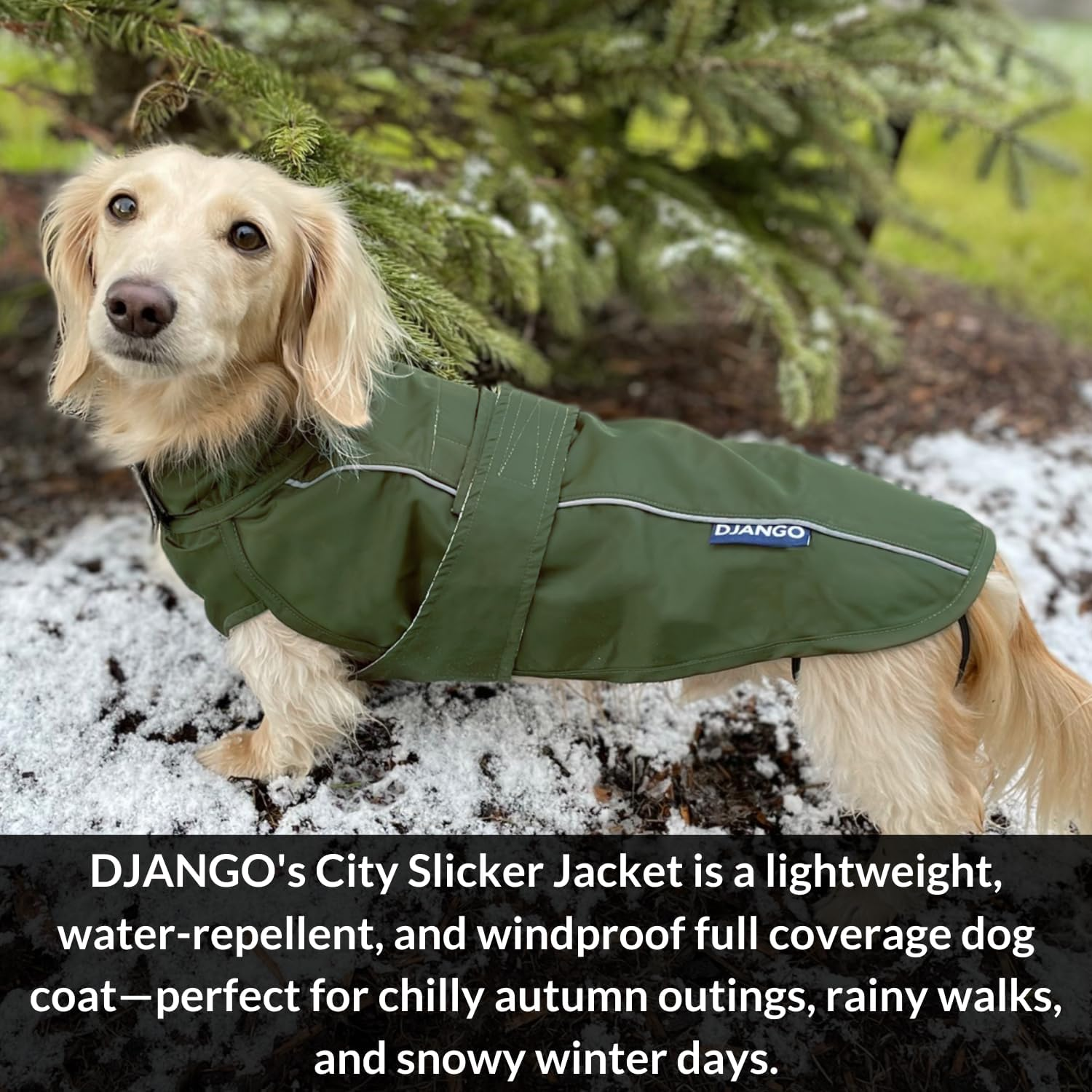 DJANGO City Slicker All-Weather Dog Jacket & Water-Repellent Raincoat with Reflective Piping (Small, Kombu Green)